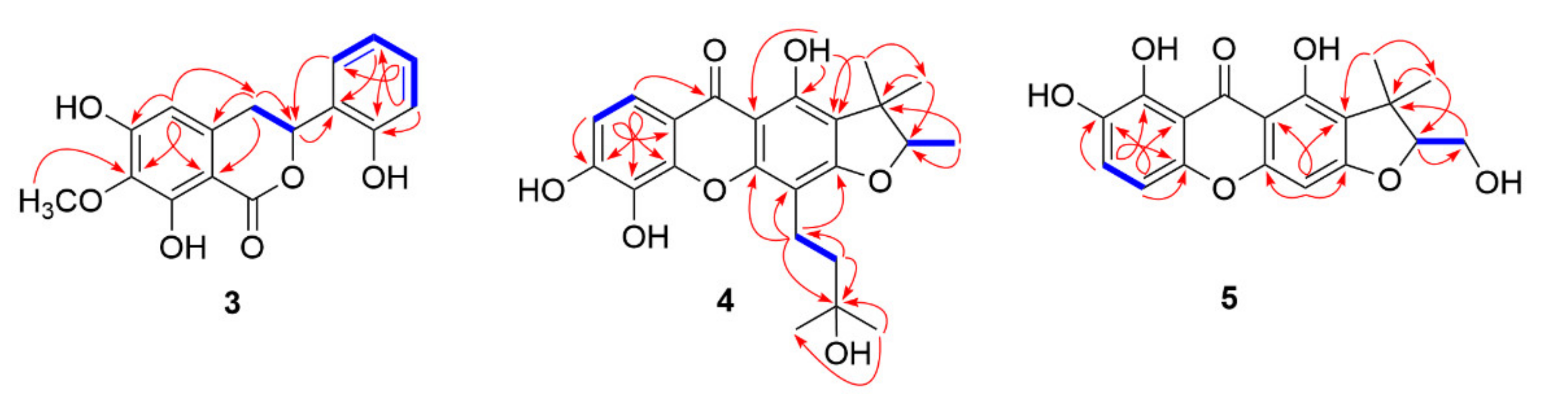 Molecules 26 06626 g002 Molecules 26 06626 g002
