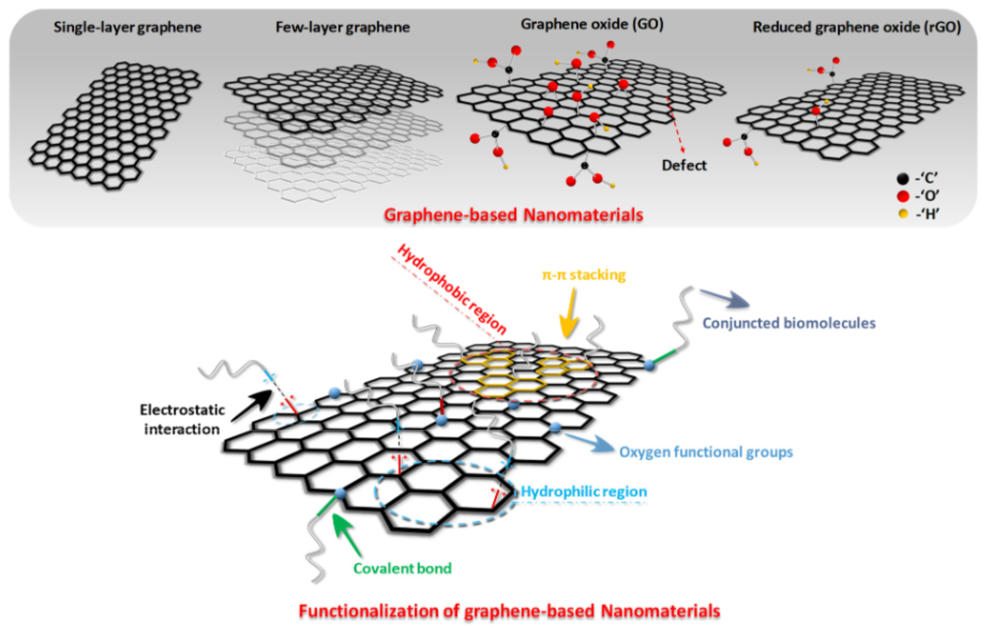 Molecules 26 06628 g007