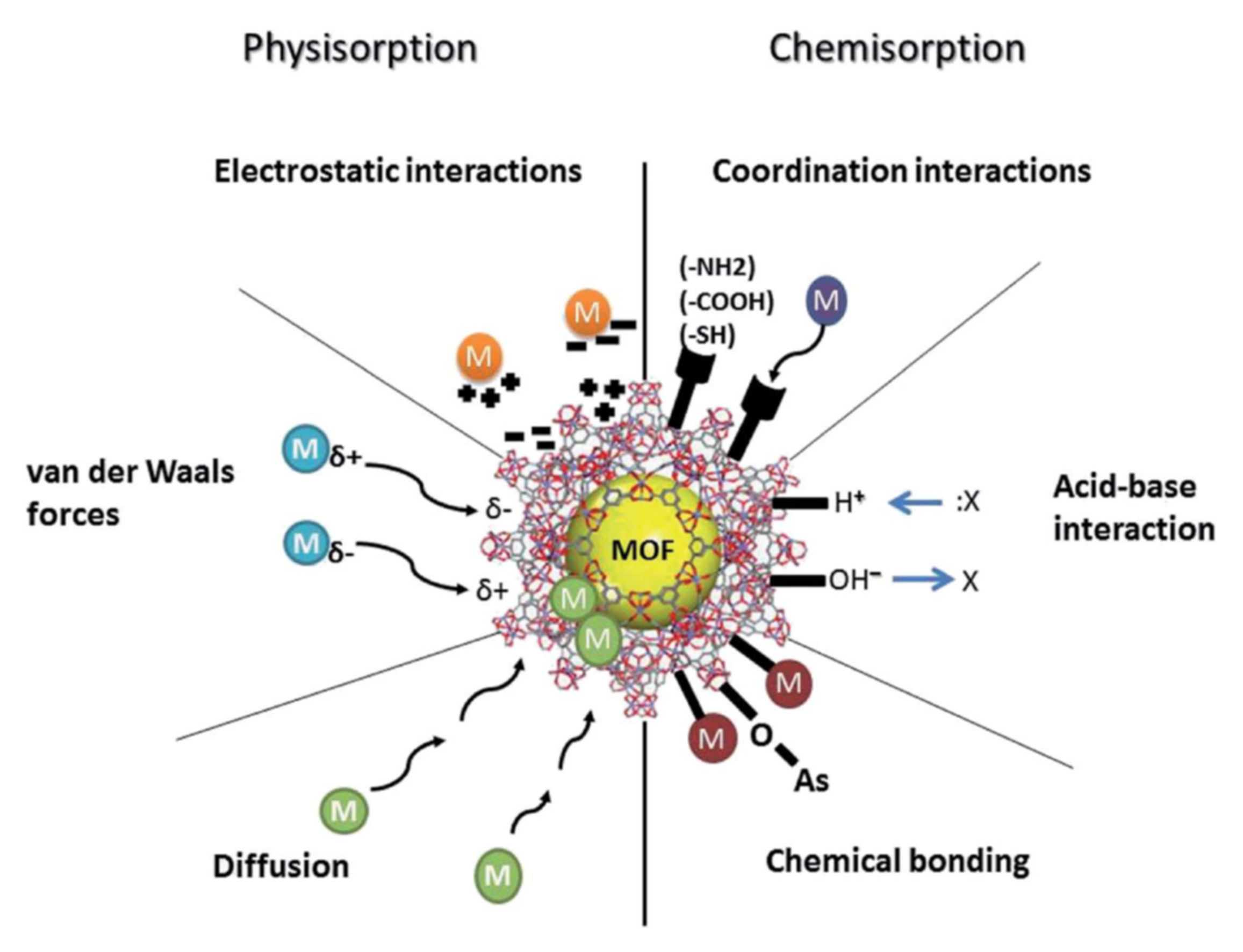 Molecules 26 06628 g009