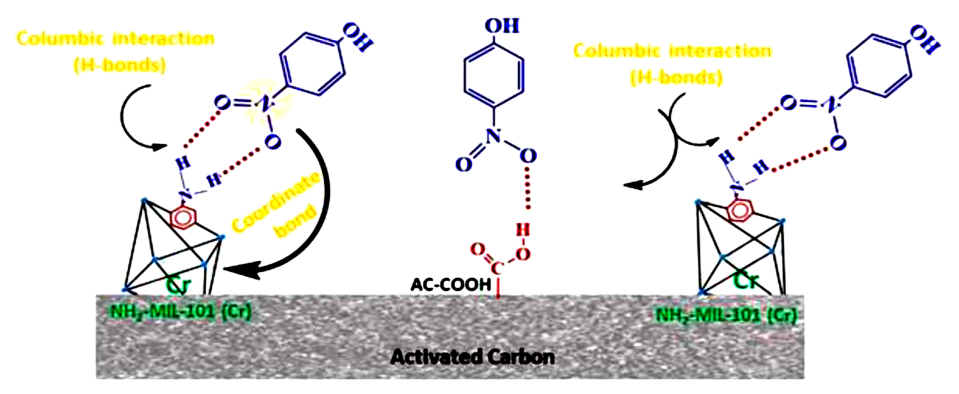 Molecules 26 06628 g012