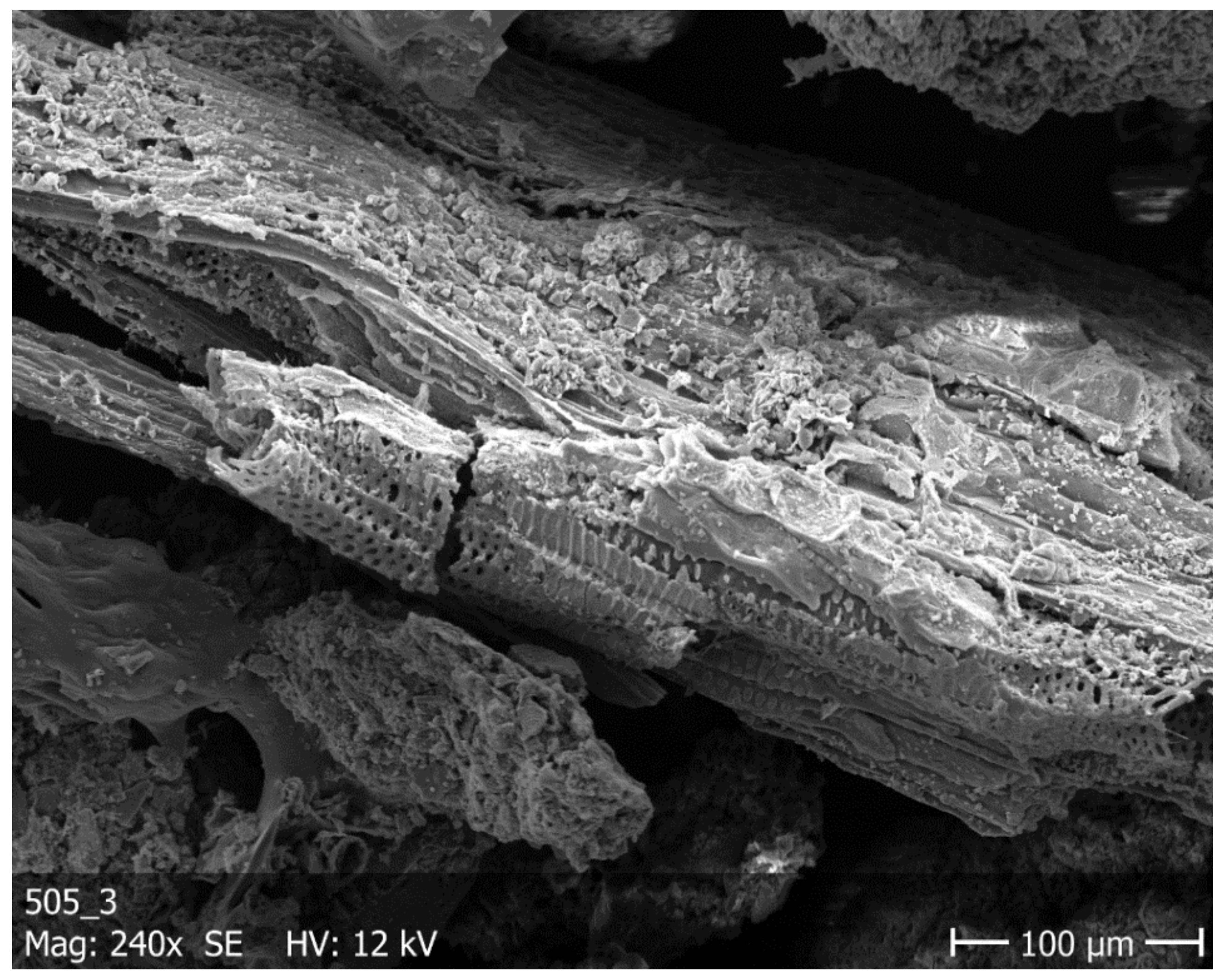 Molecules 26 06628 g027