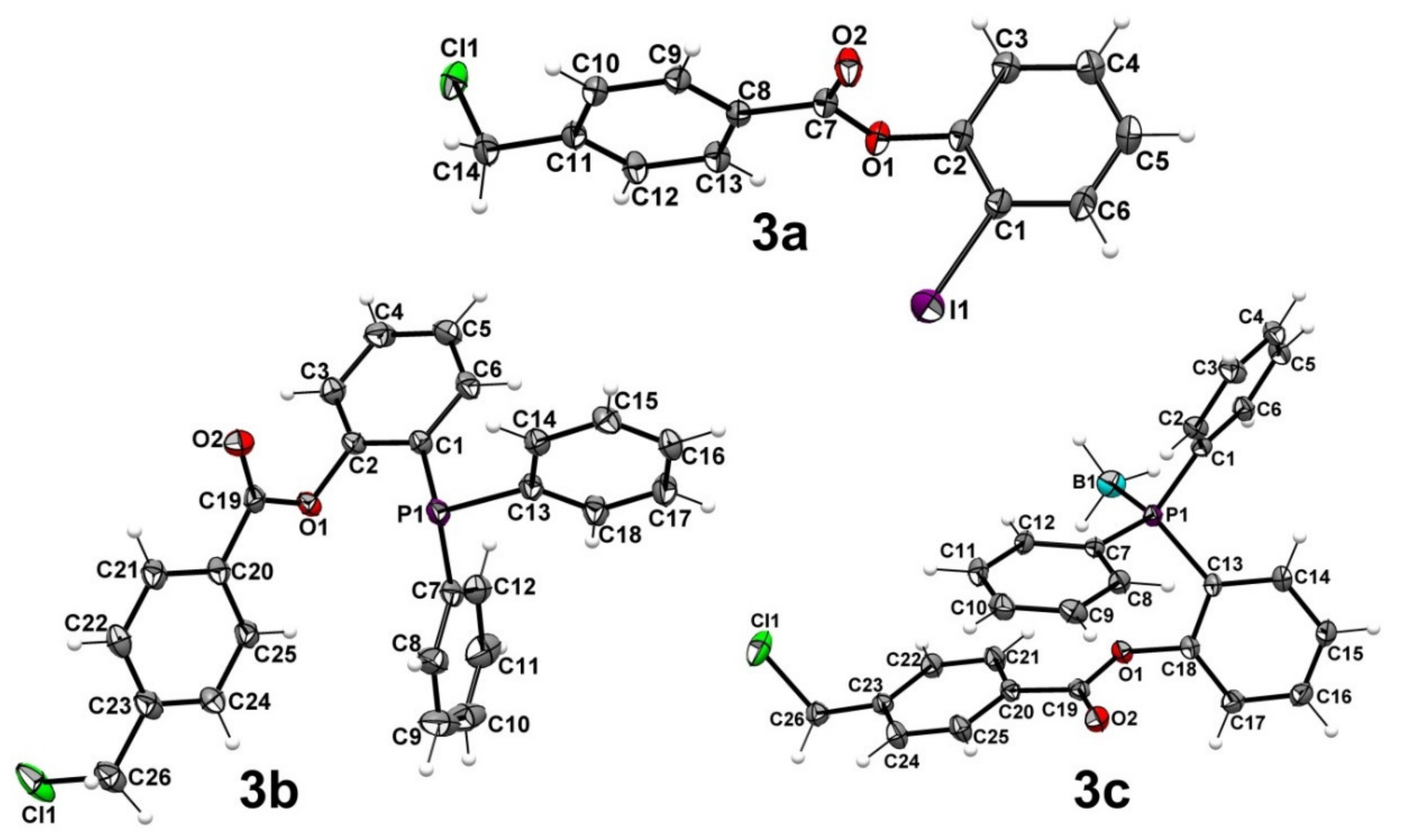 Molecules 26 06629 g001