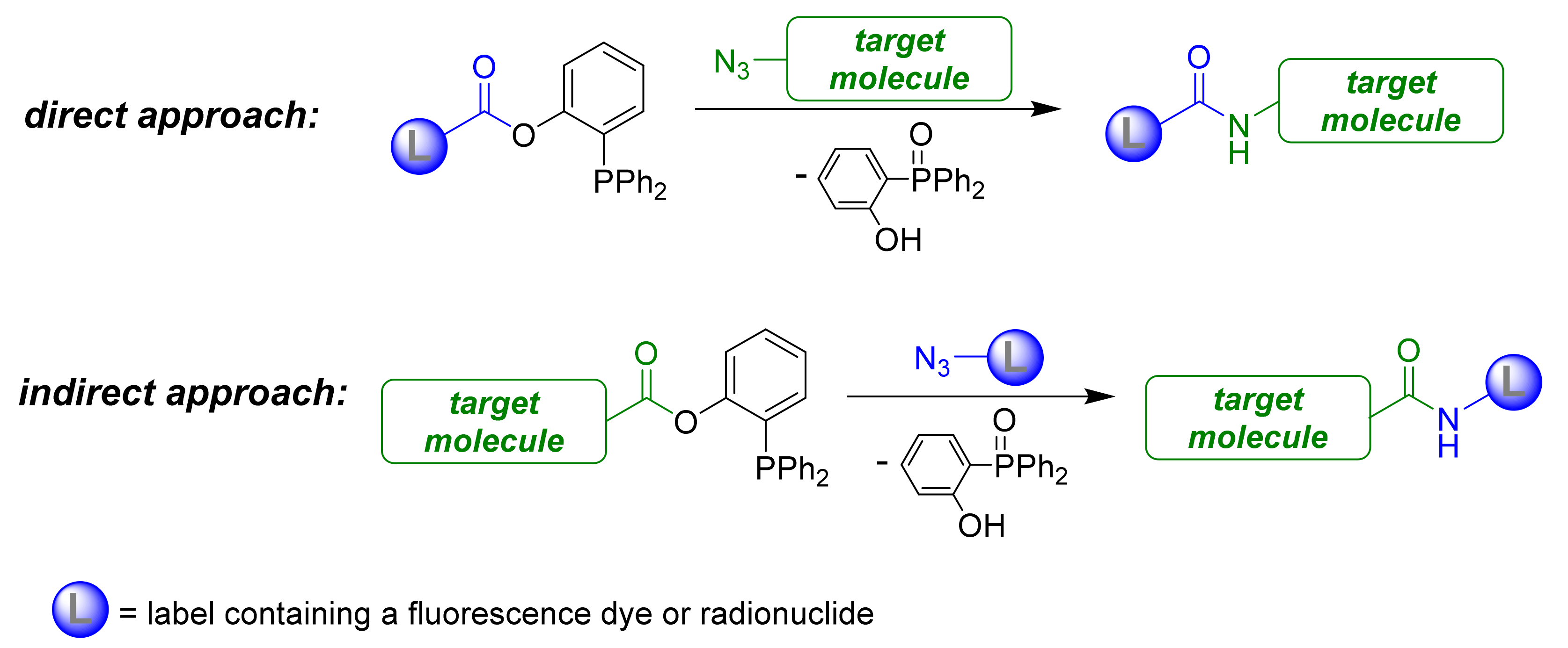 Molecules 26 06629 sch001