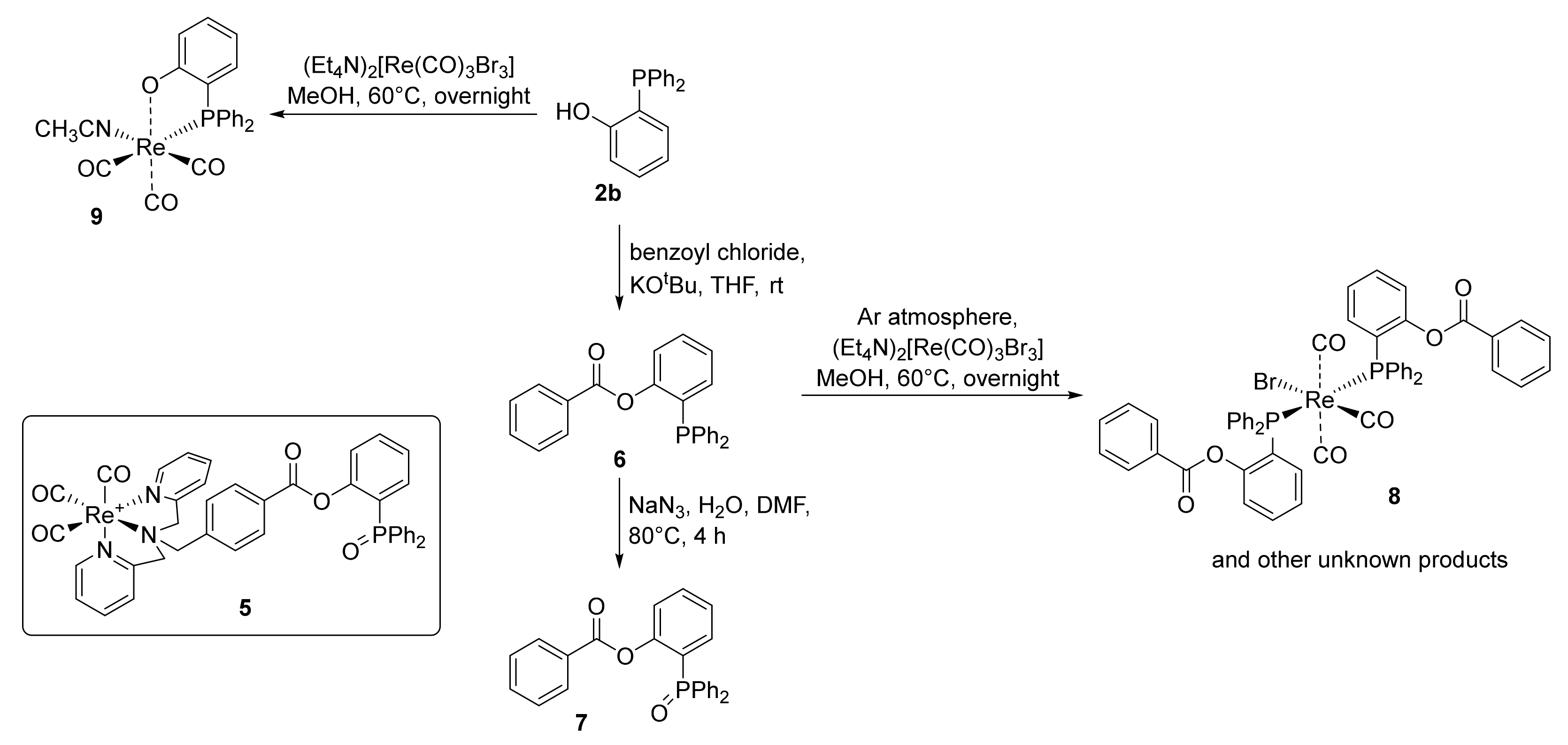 Molecules 26 06629 sch003