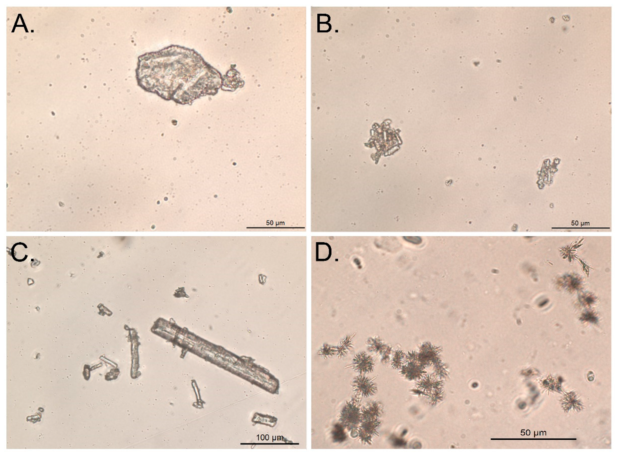 Molecules 26 06631 g007