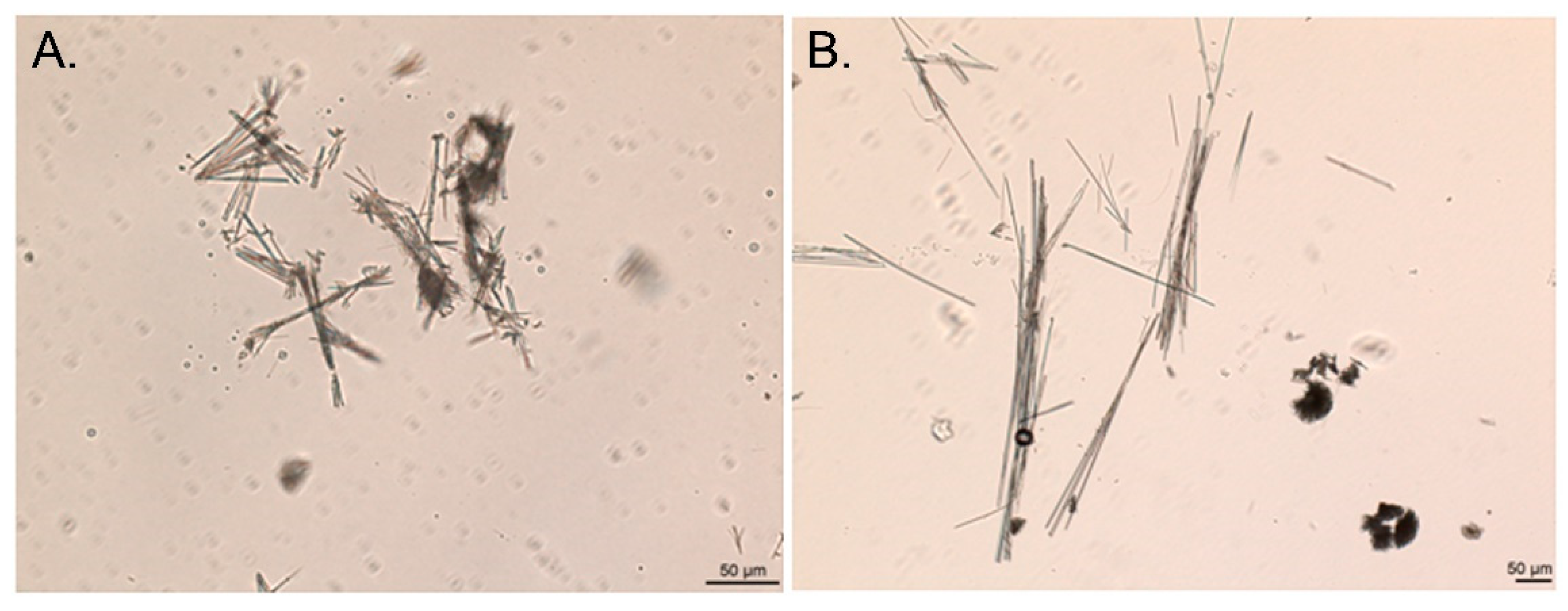 Molecules 26 06631 g011