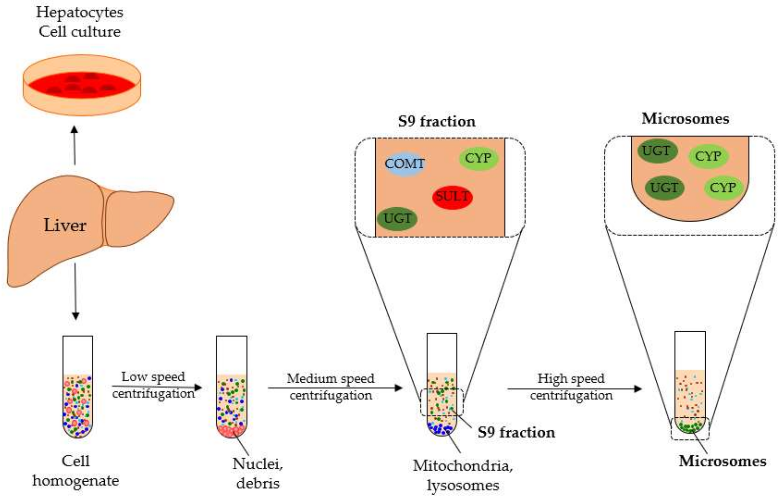 Molecules 26 06632 g002