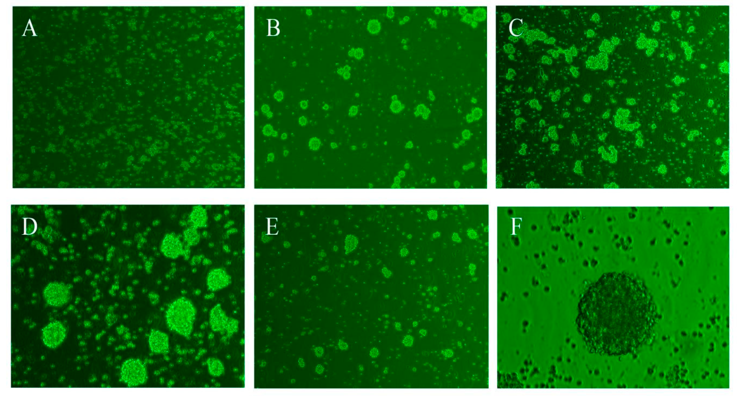 Molecules 26 06634 g001