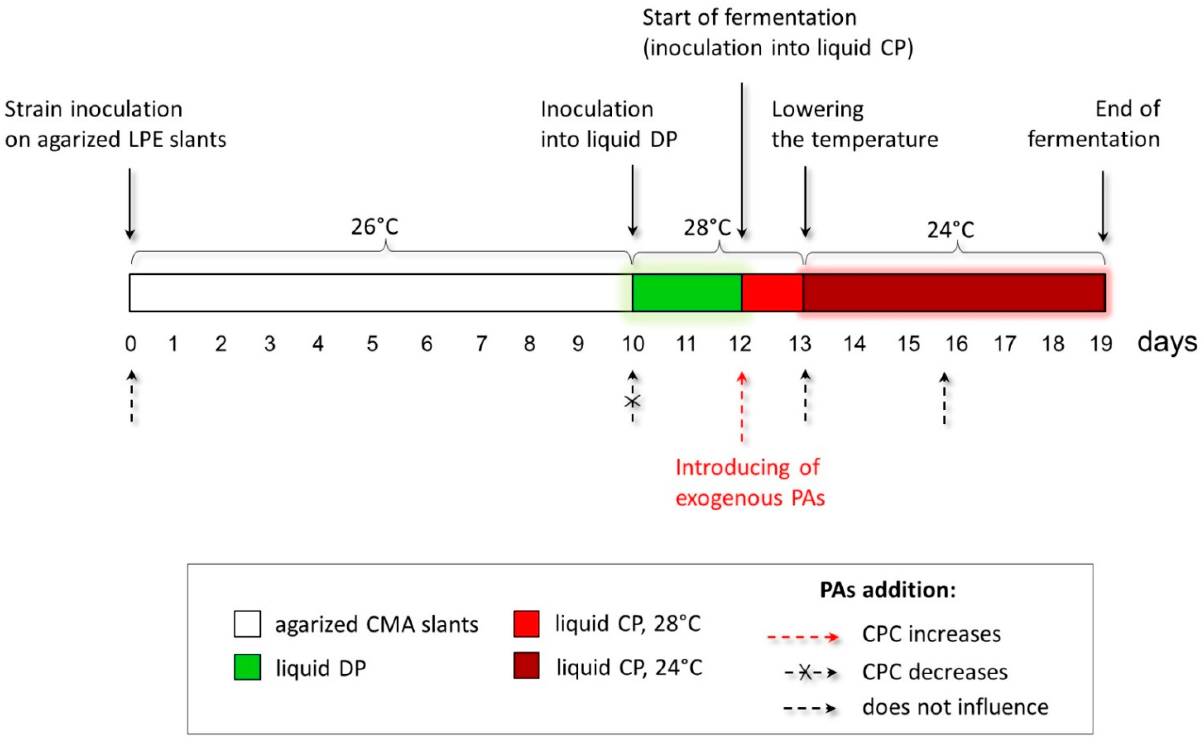 Molecules 26 06636 g004