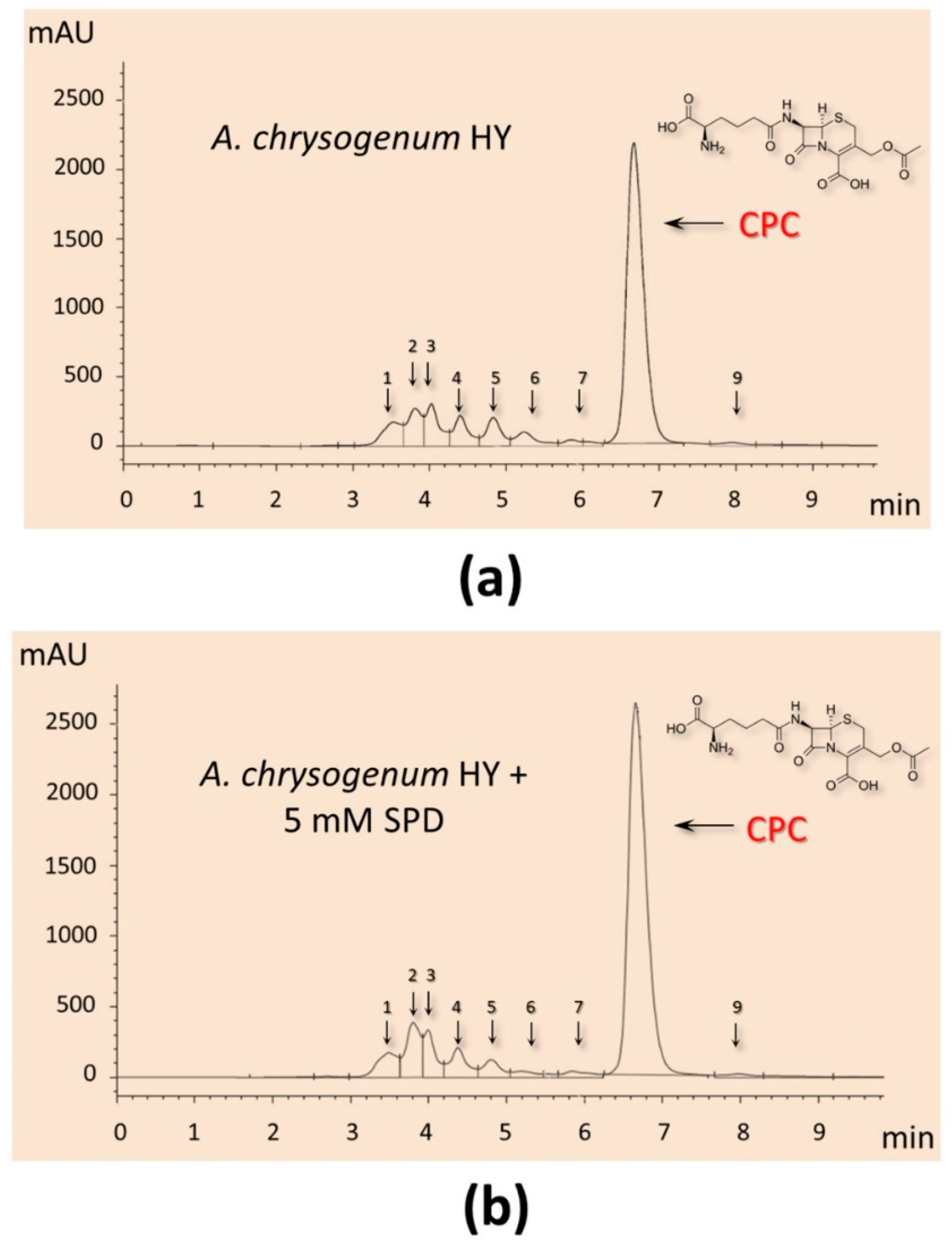 Molecules 26 06636 g006