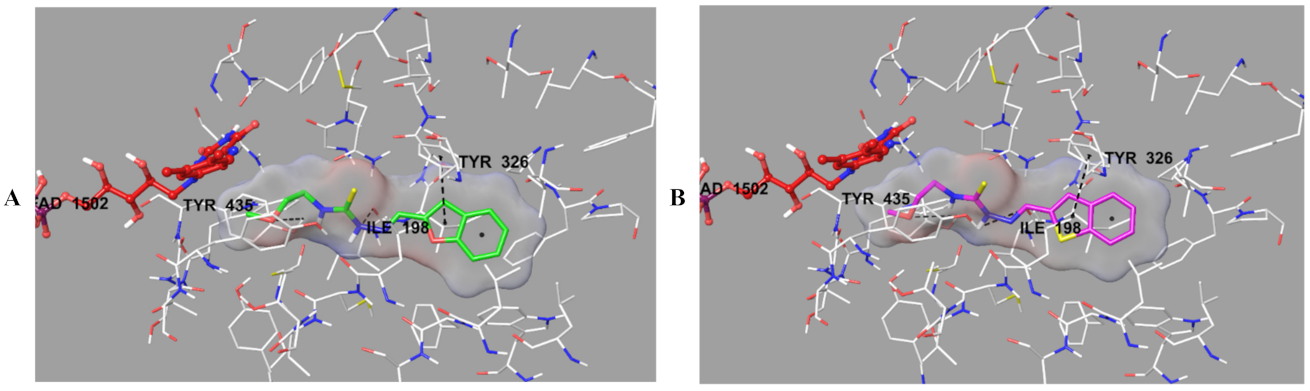Molecules 26 06640 g007