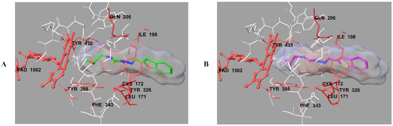 Molecules 26 06640 g008
