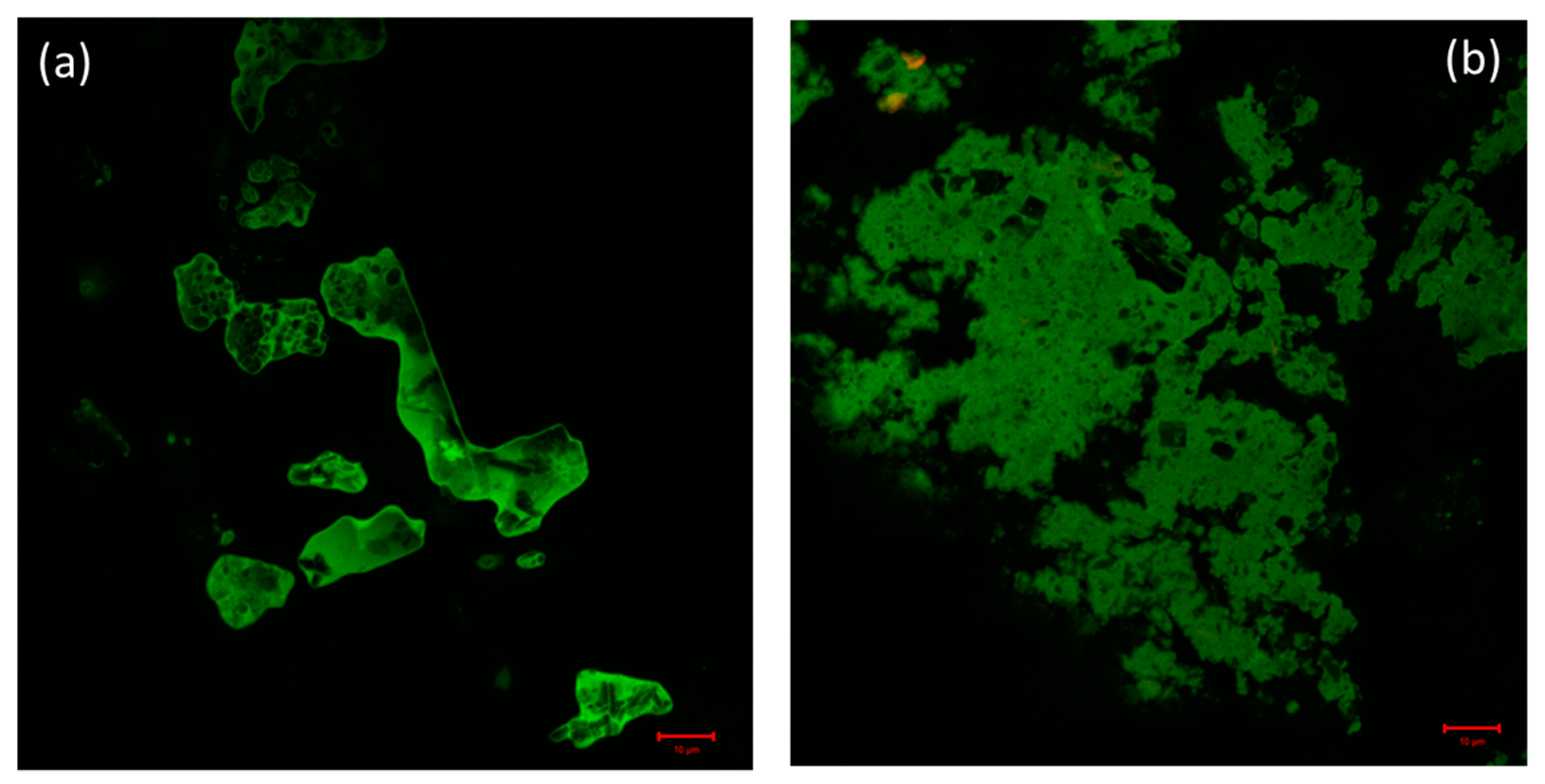 Molecules 26 06641 g007