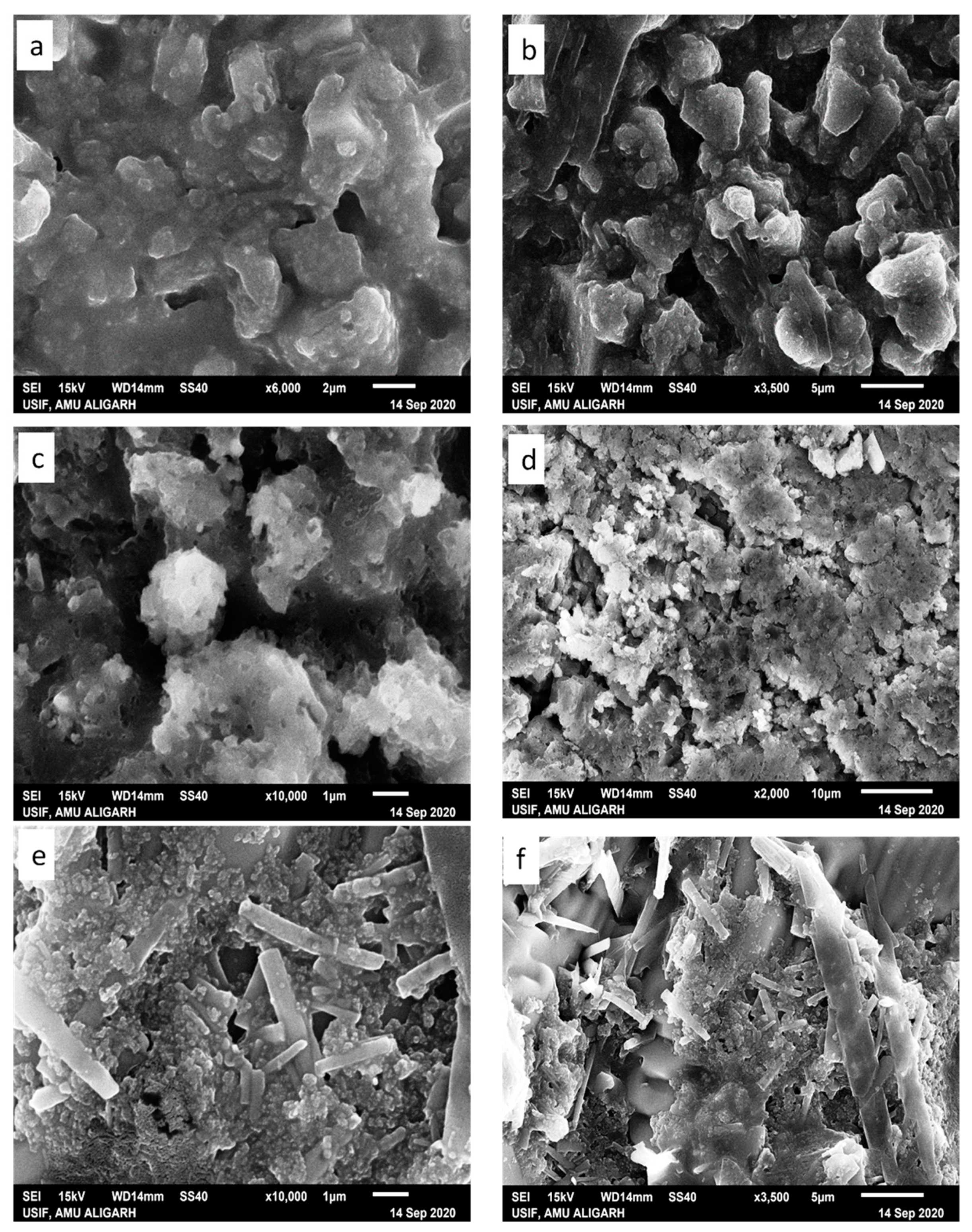 Molecules 26 06641 g008