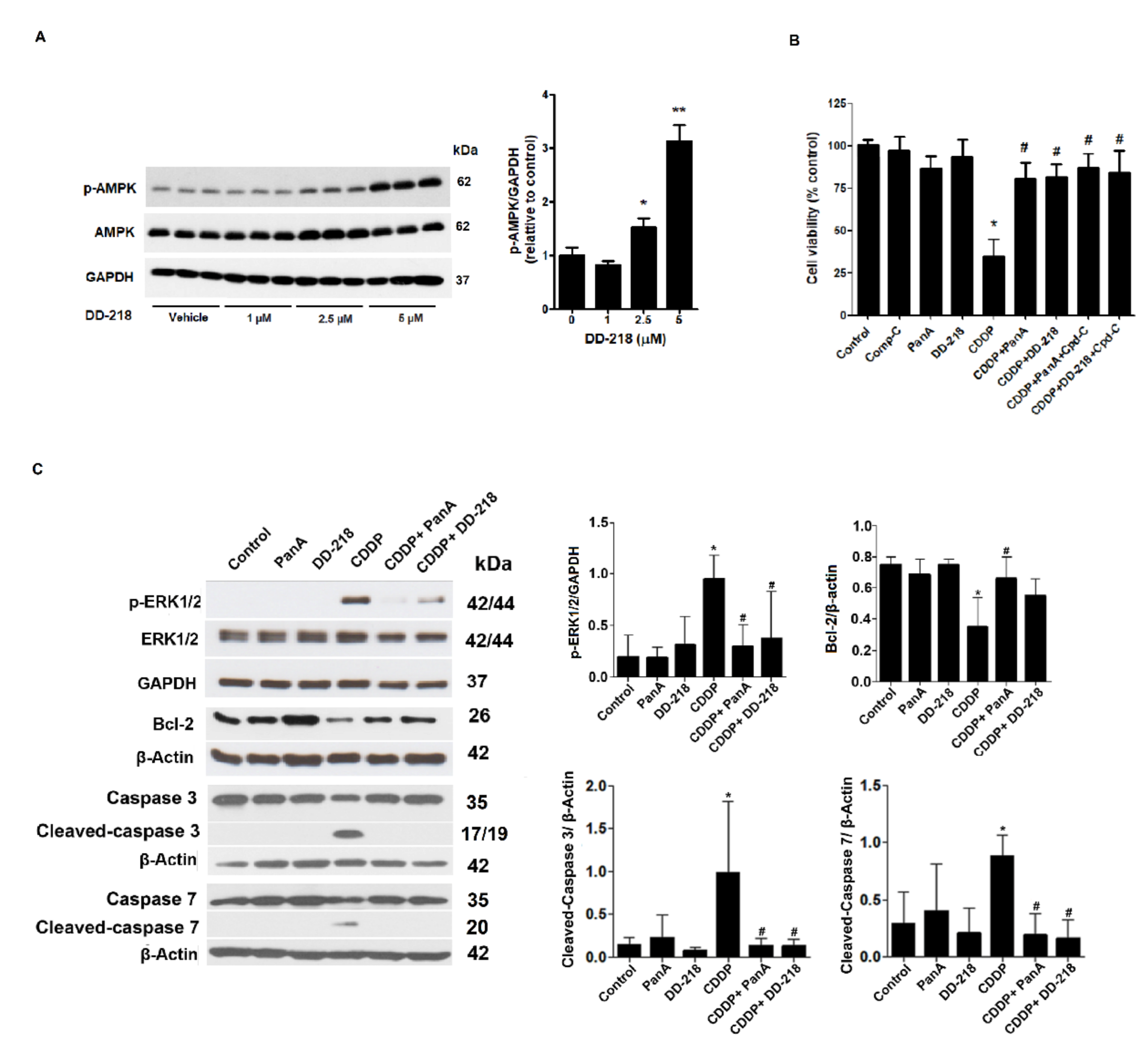 Molecules 26 06642 g004
