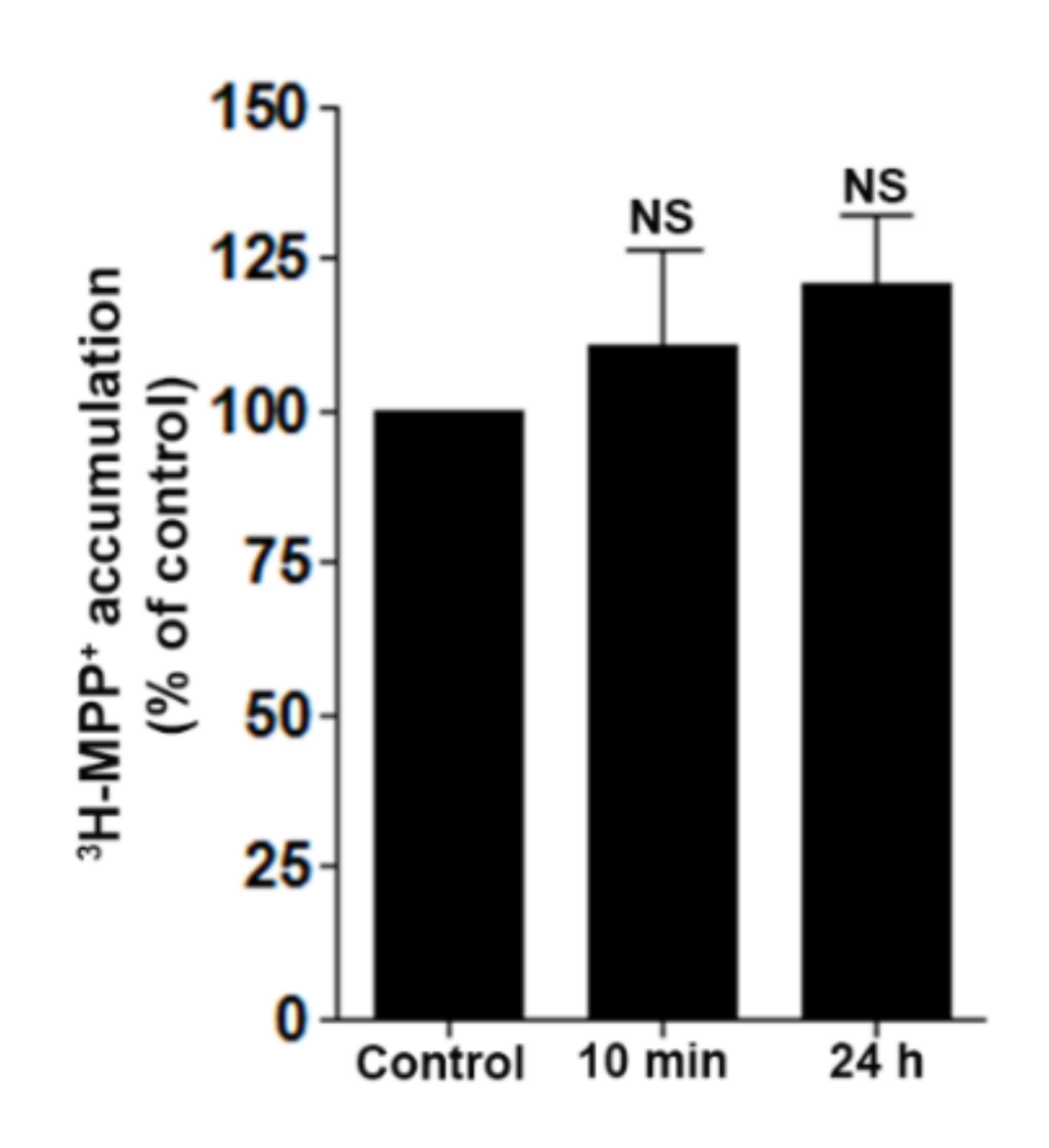 Molecules 26 06642 g006