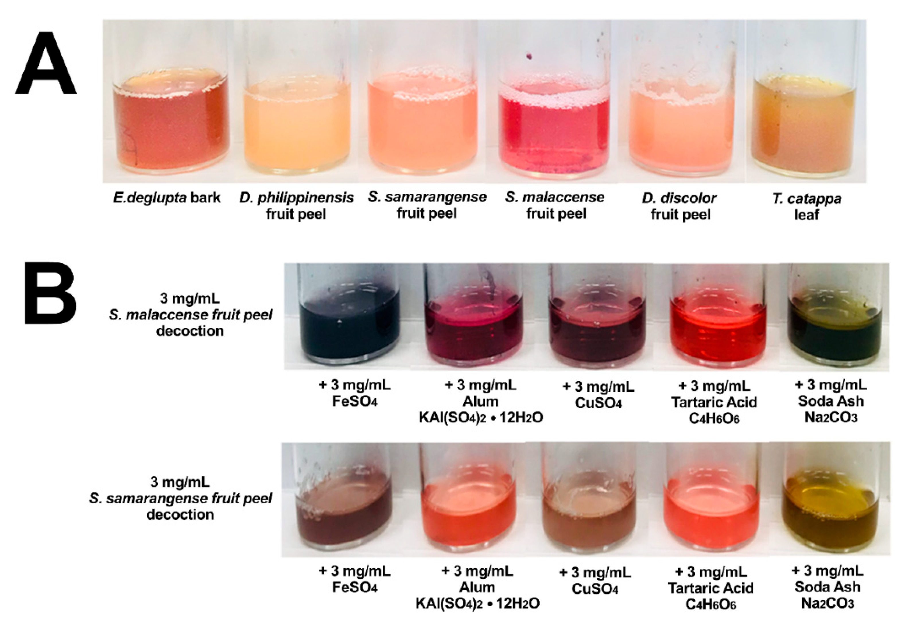 Molecules 26 06645 g002