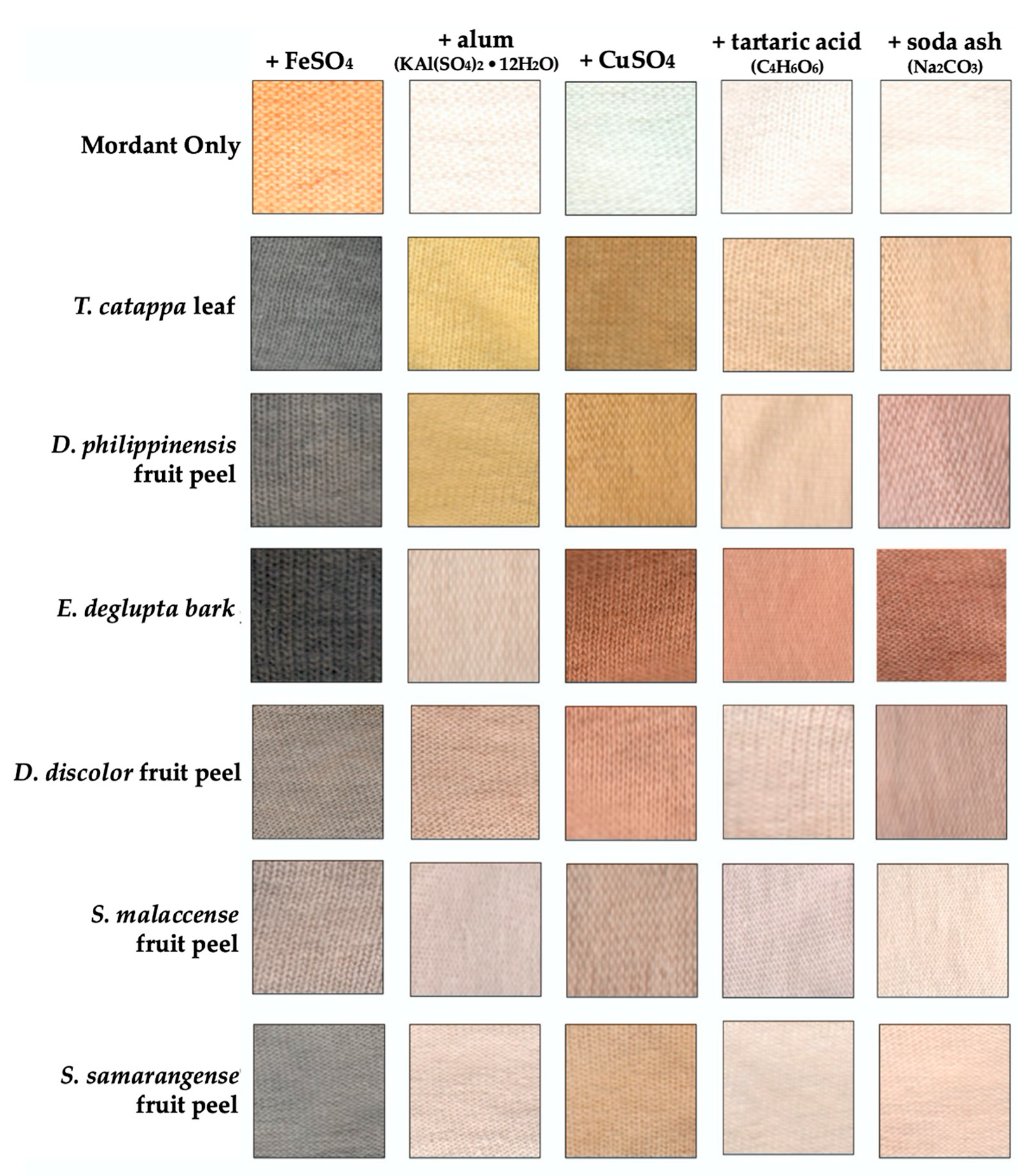 Molecules 26 06645 g003