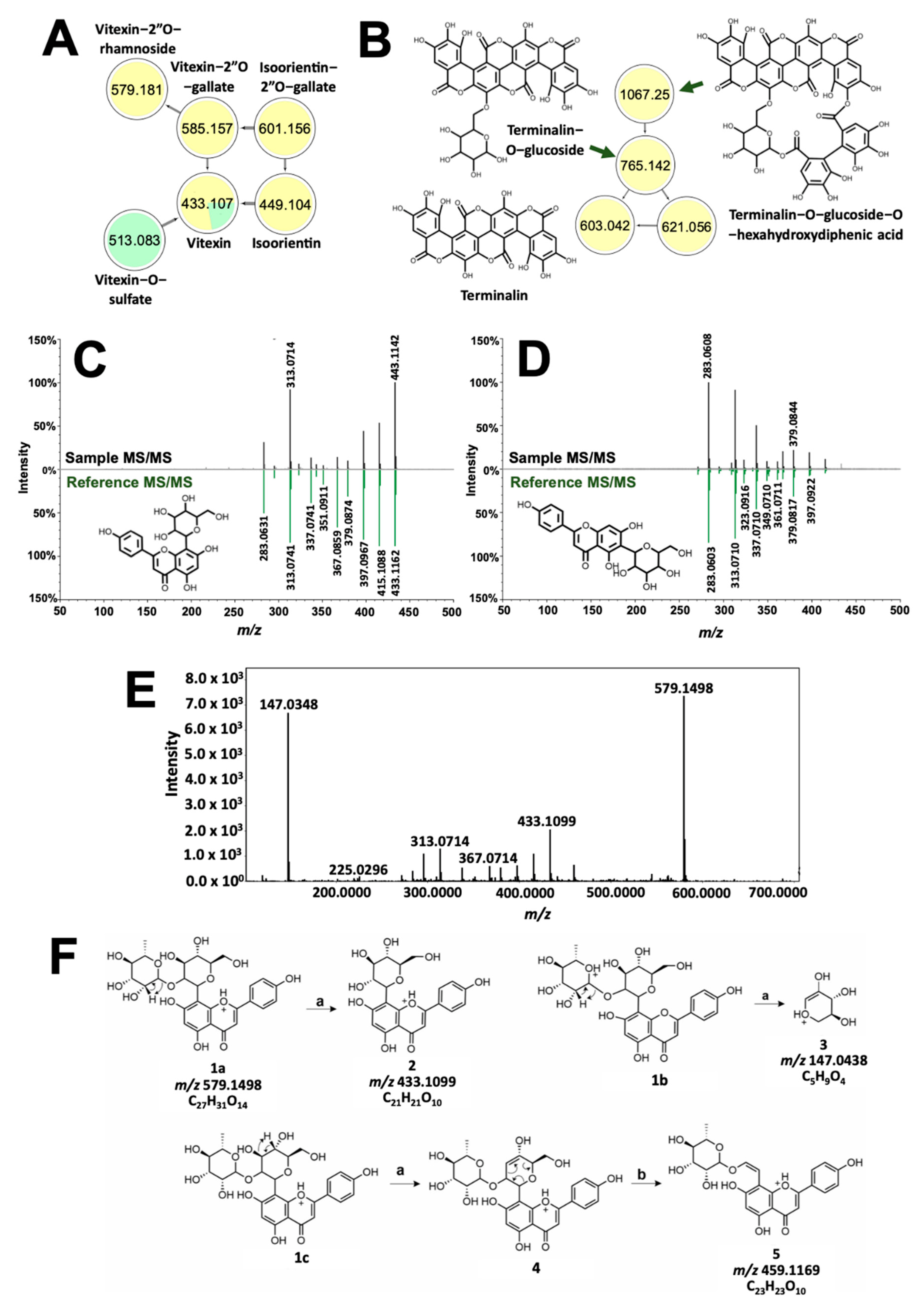 Molecules 26 06645 g006