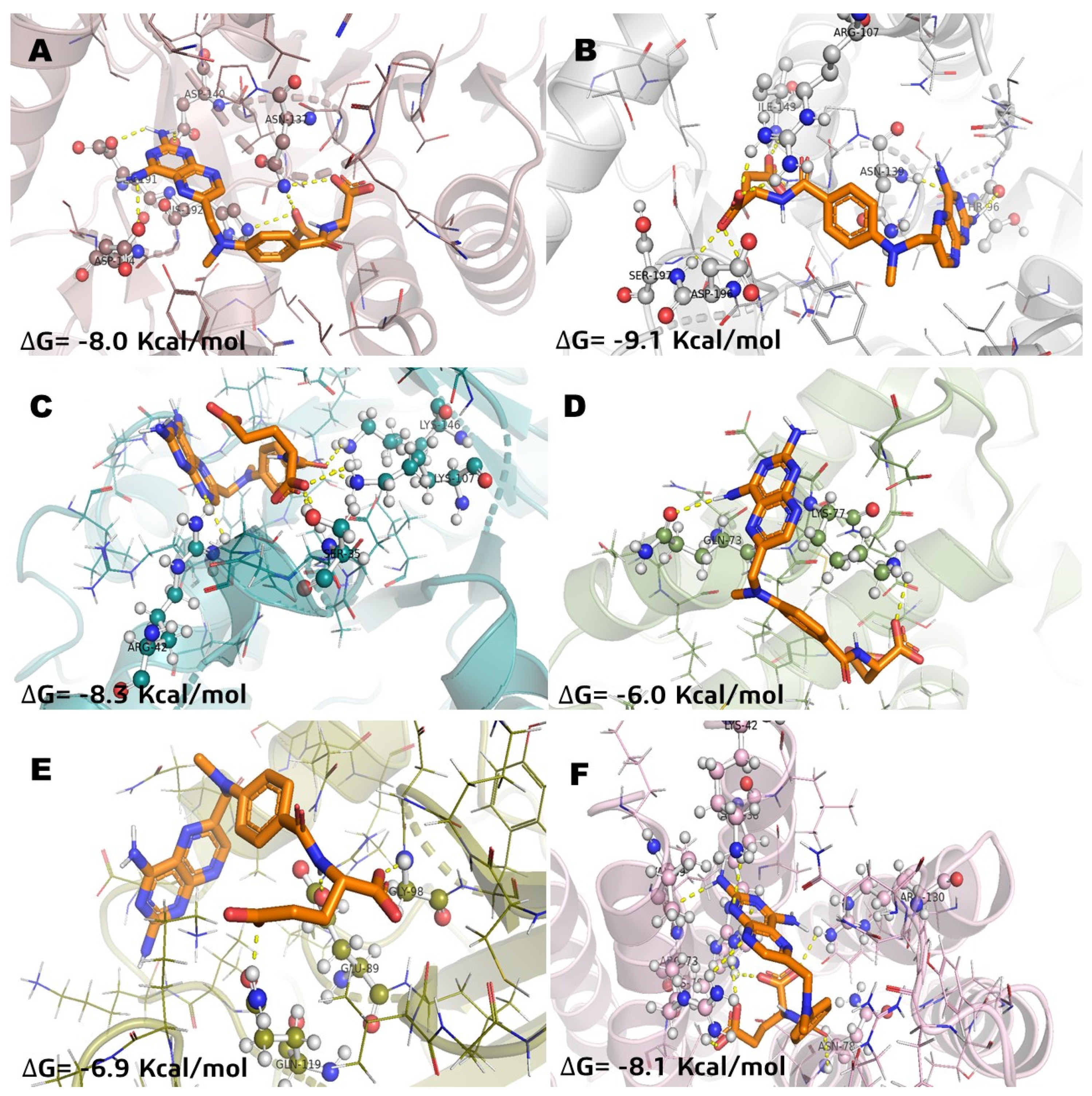 Molecules 26 06646 g004
