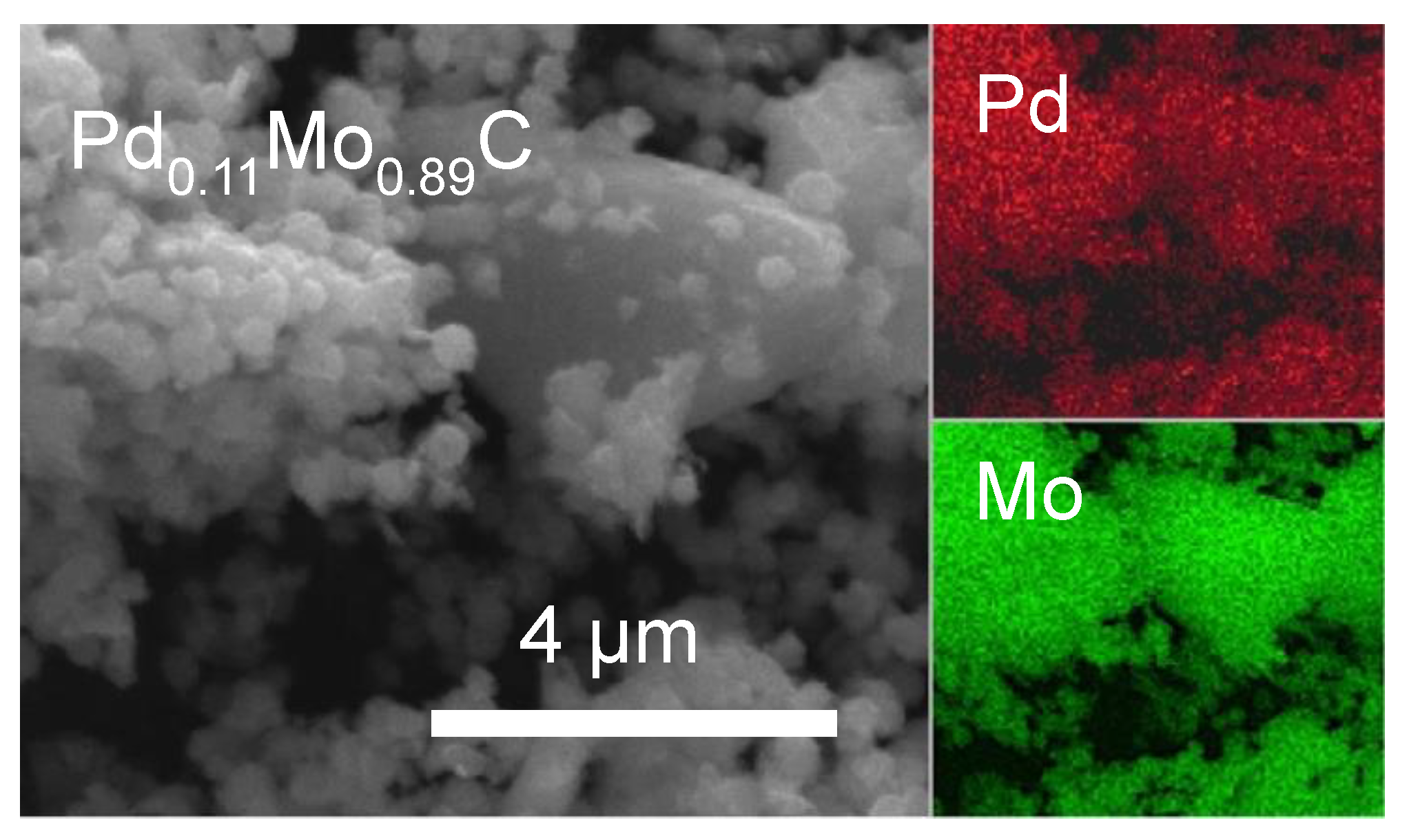 Molecules 26 06650 g005