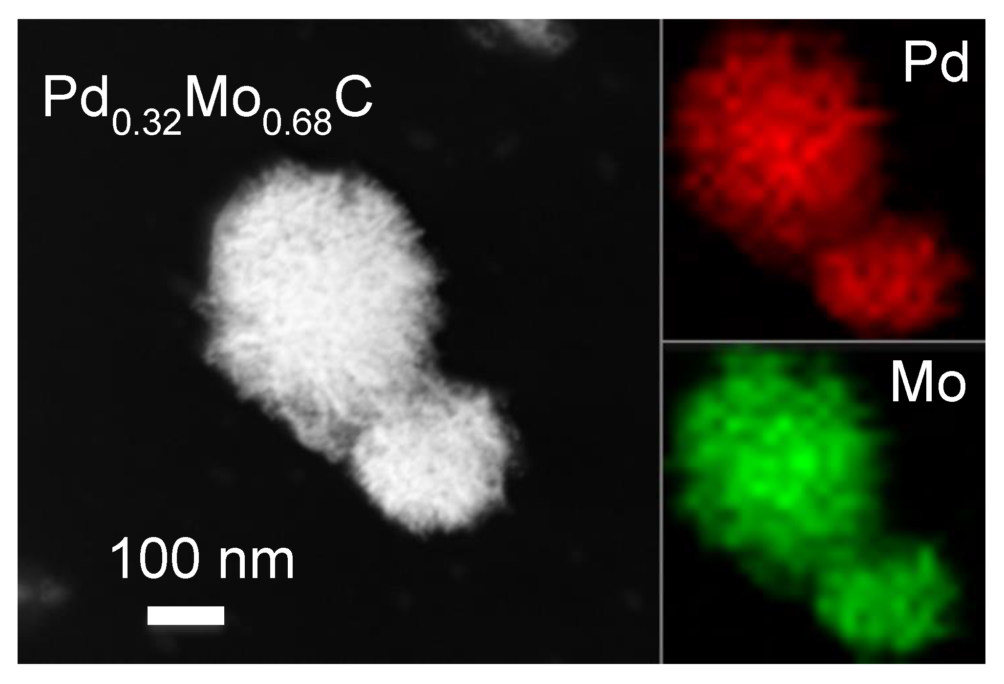 Molecules 26 06650 g006