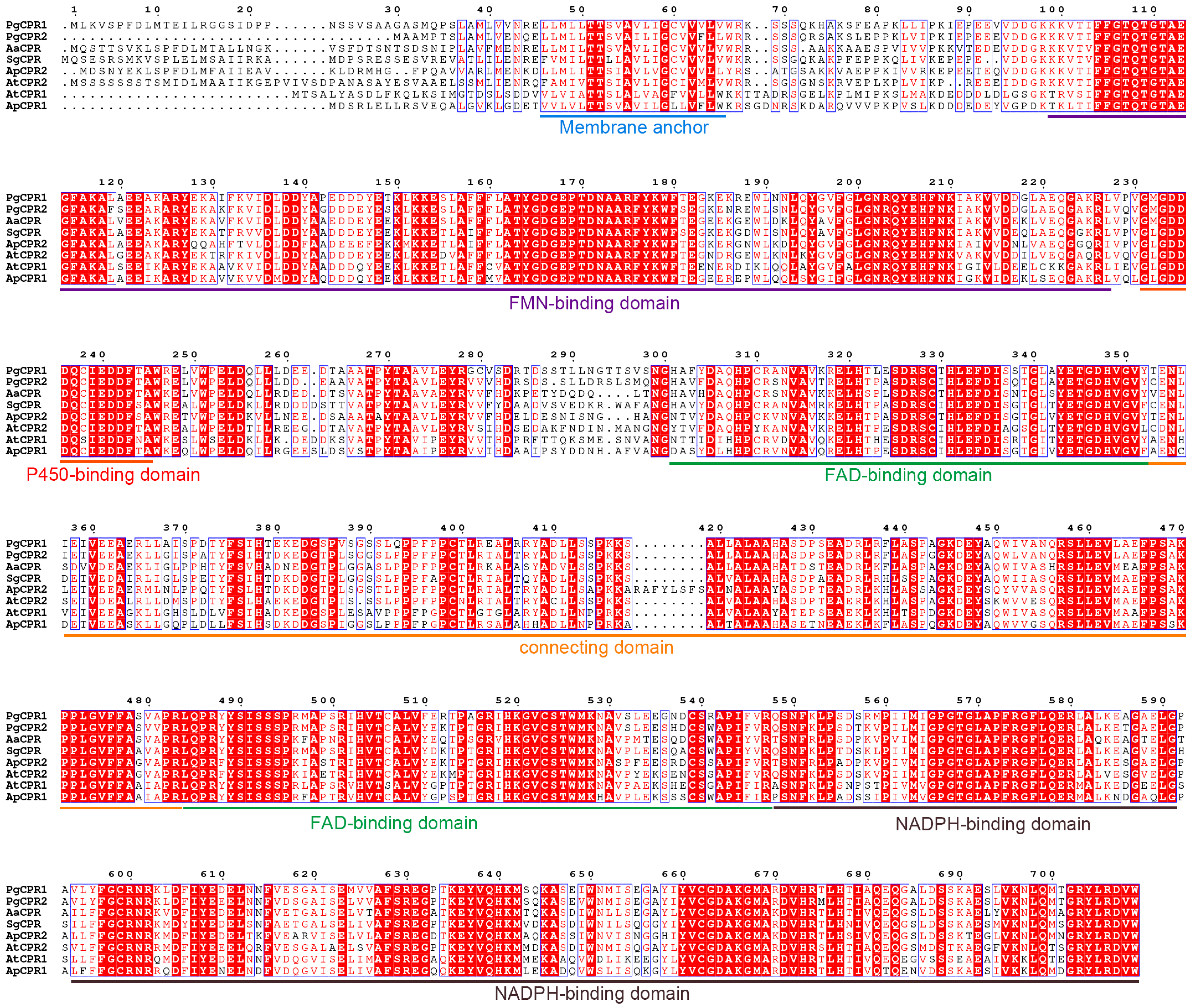 Molecules 26 06654 g001
