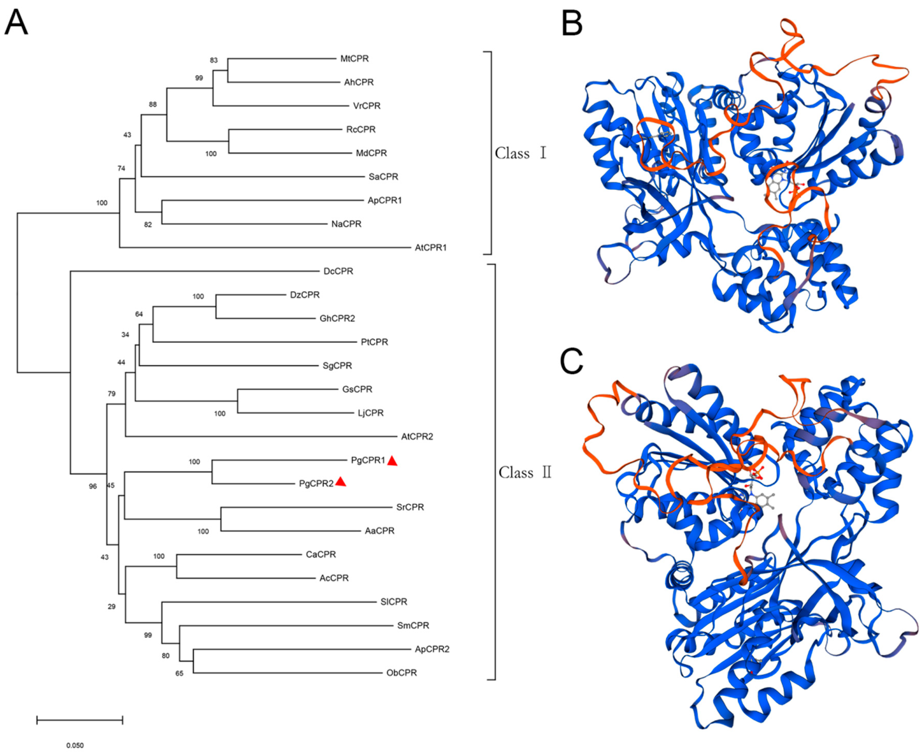 Molecules 26 06654 g002