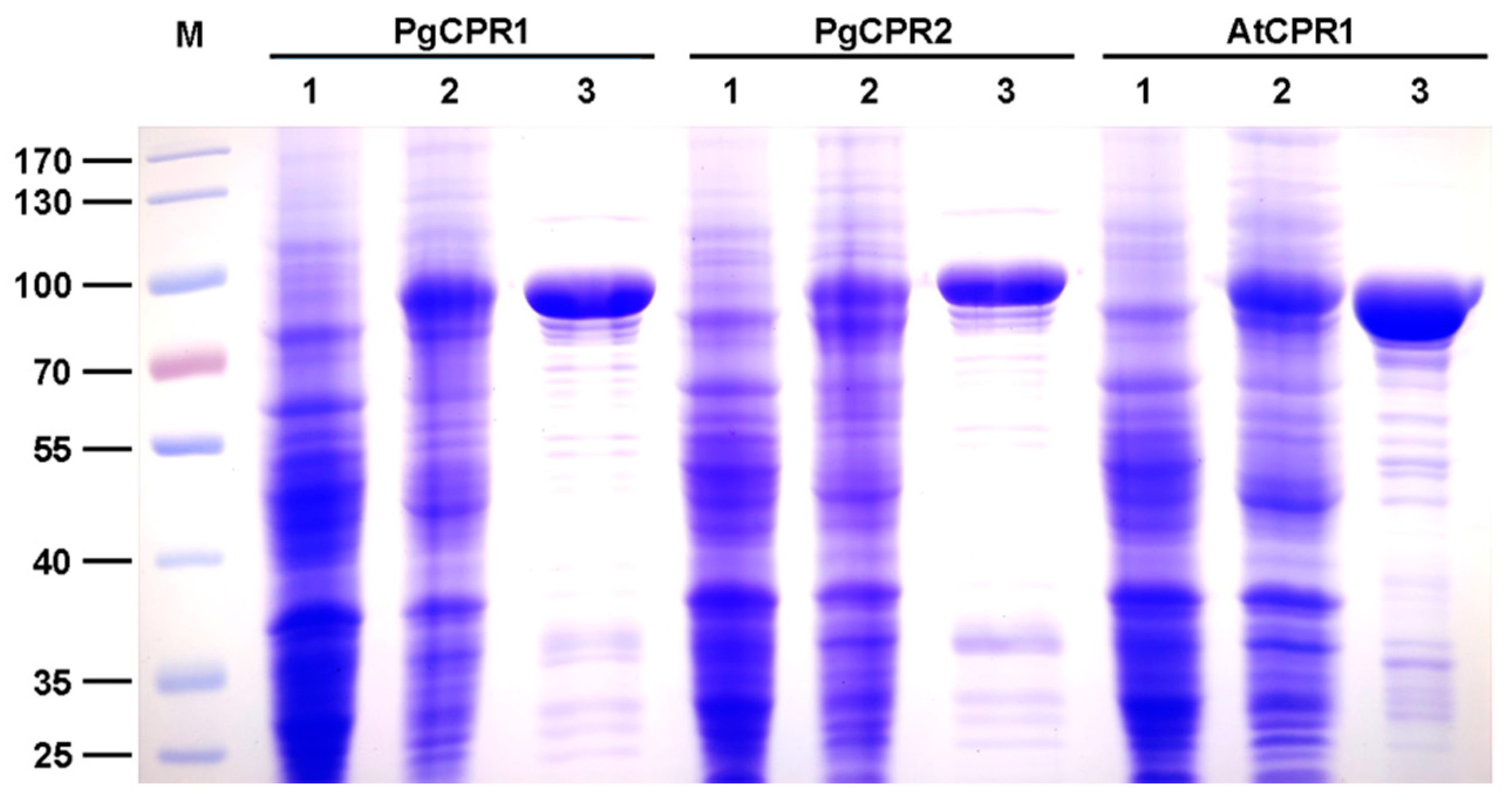 Molecules 26 06654 g003