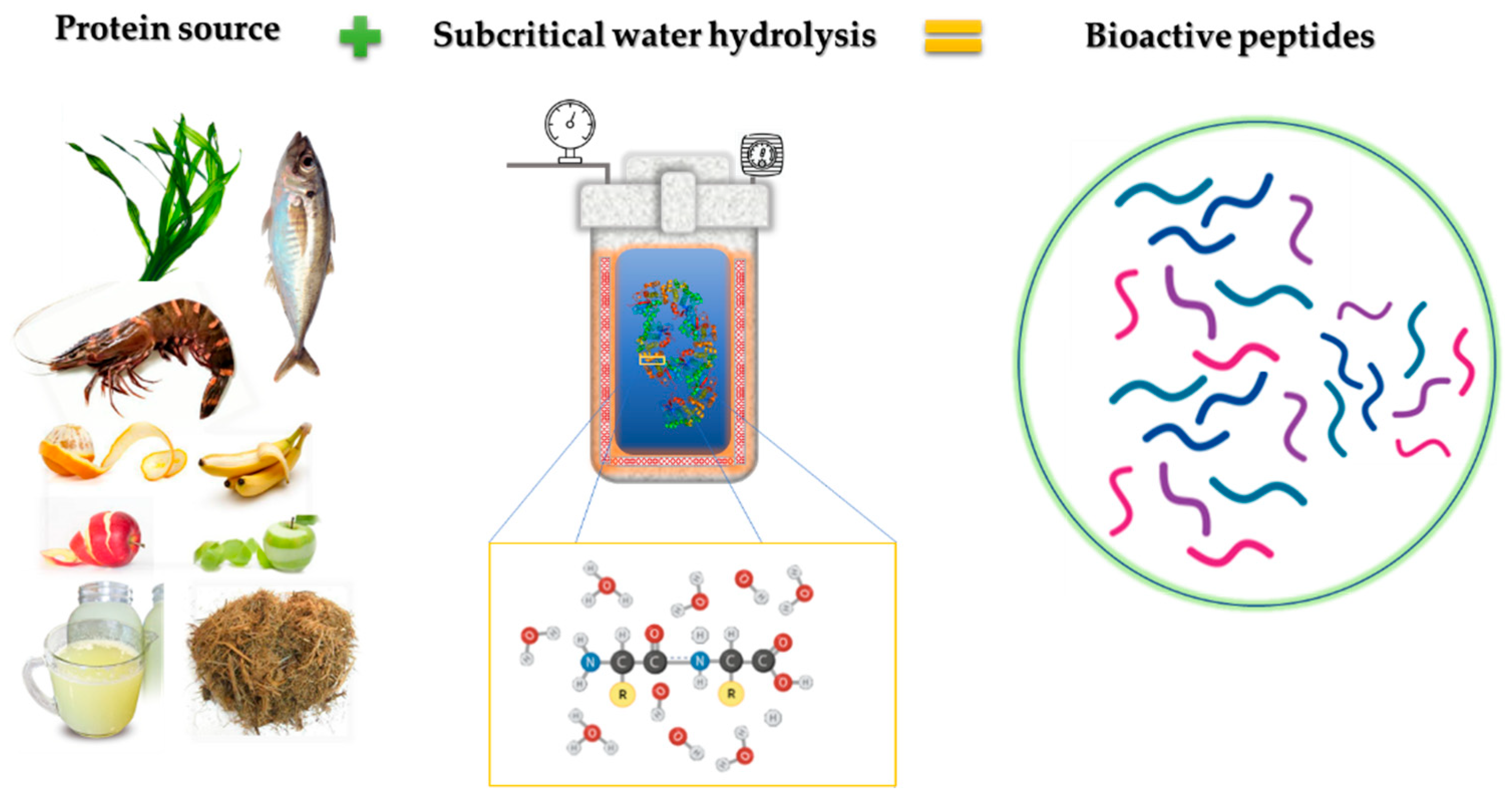 Molecules 26 06655 g001