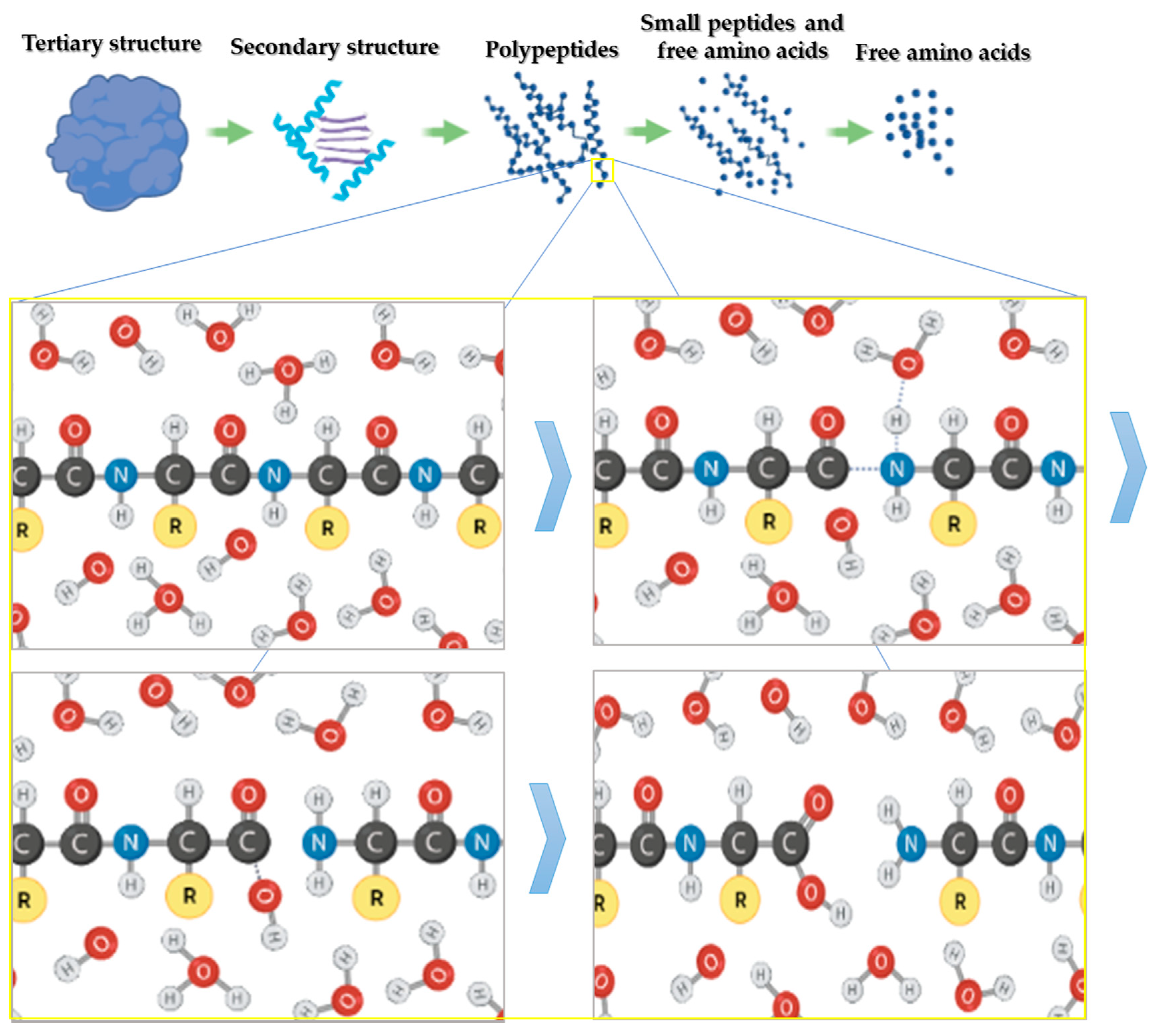 Molecules 26 06655 g002