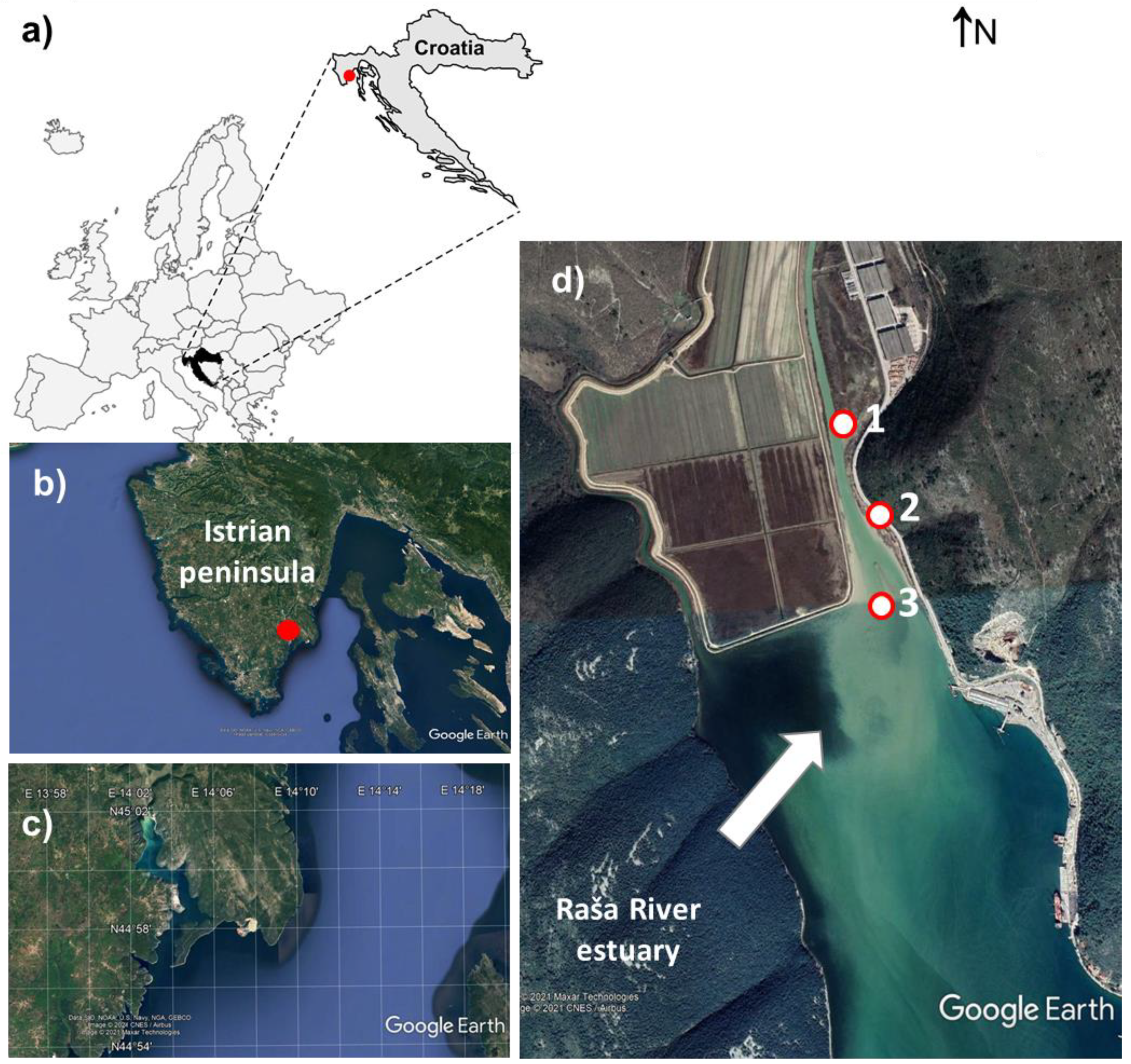 Molecules 26 06656 g004