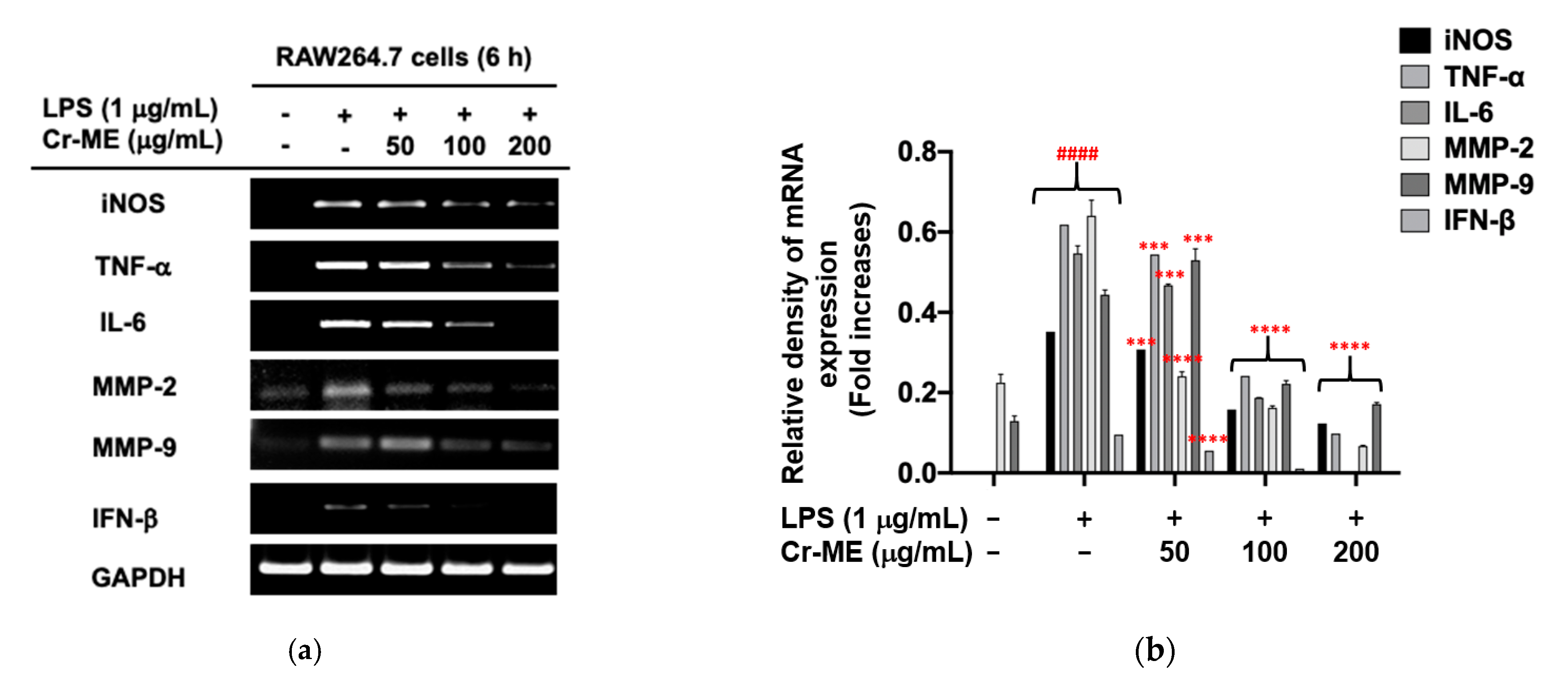 Molecules 26 06660 g002a