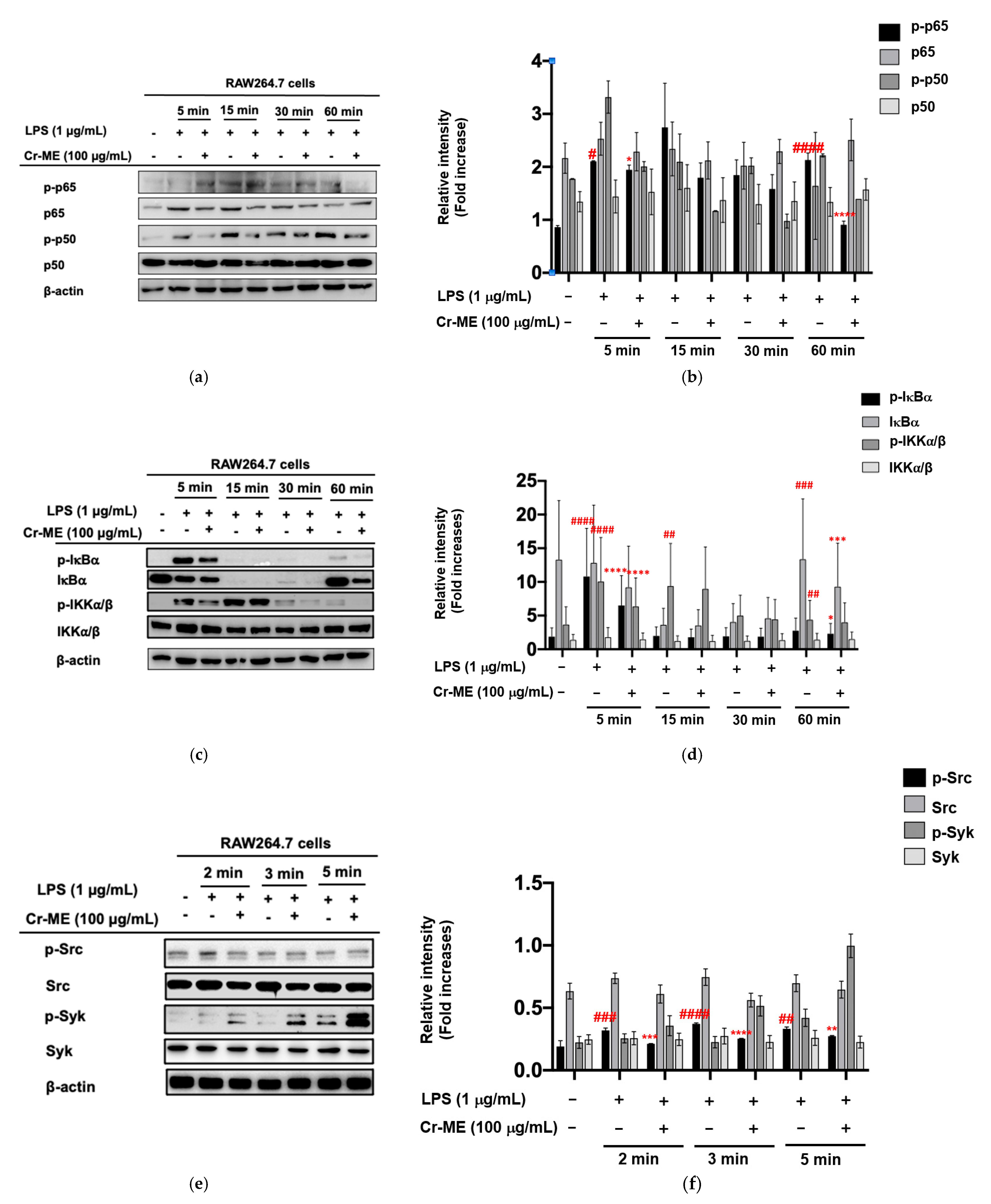 Molecules 26 06660 g003a