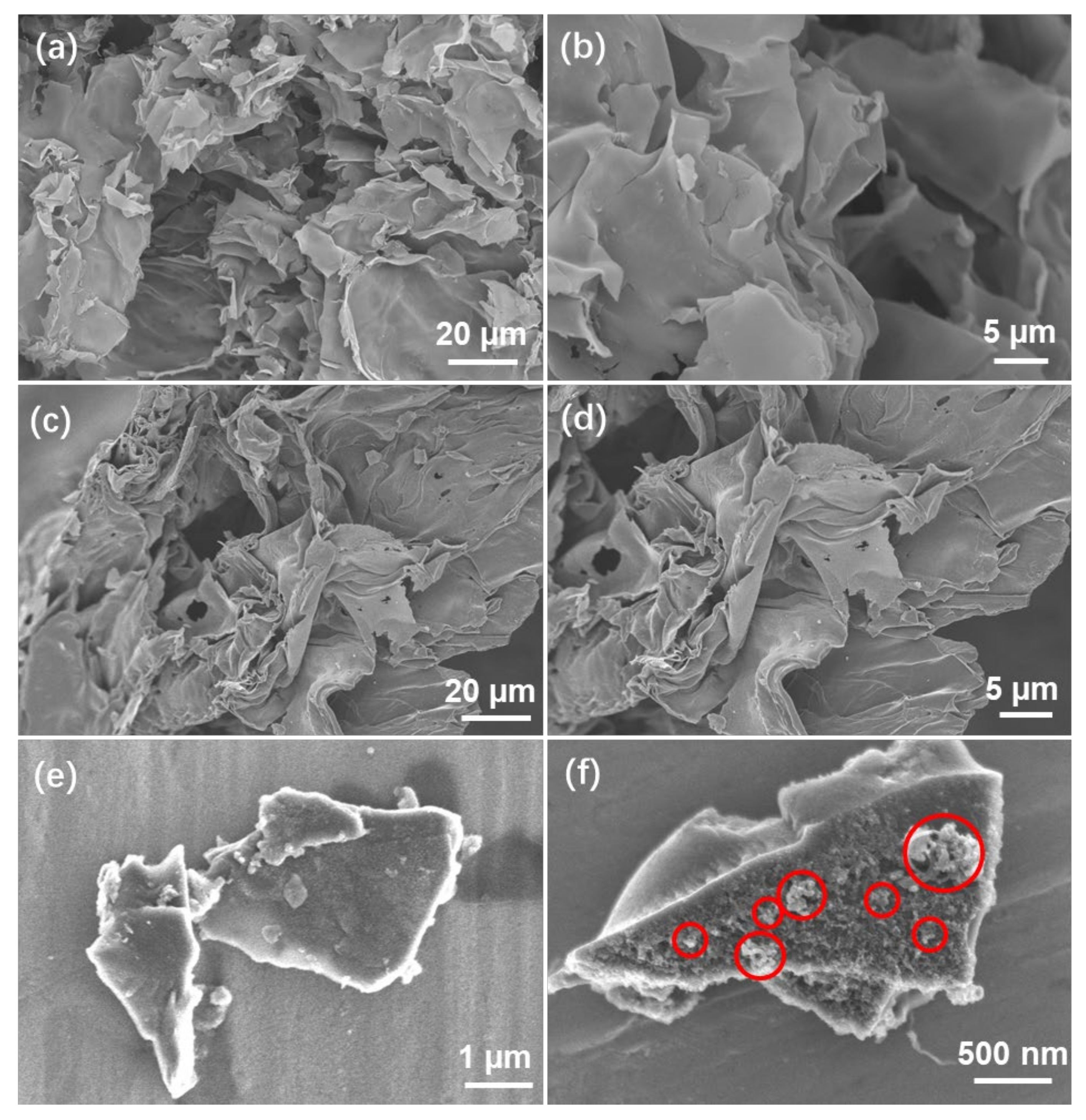 Molecules 26 06662 g002