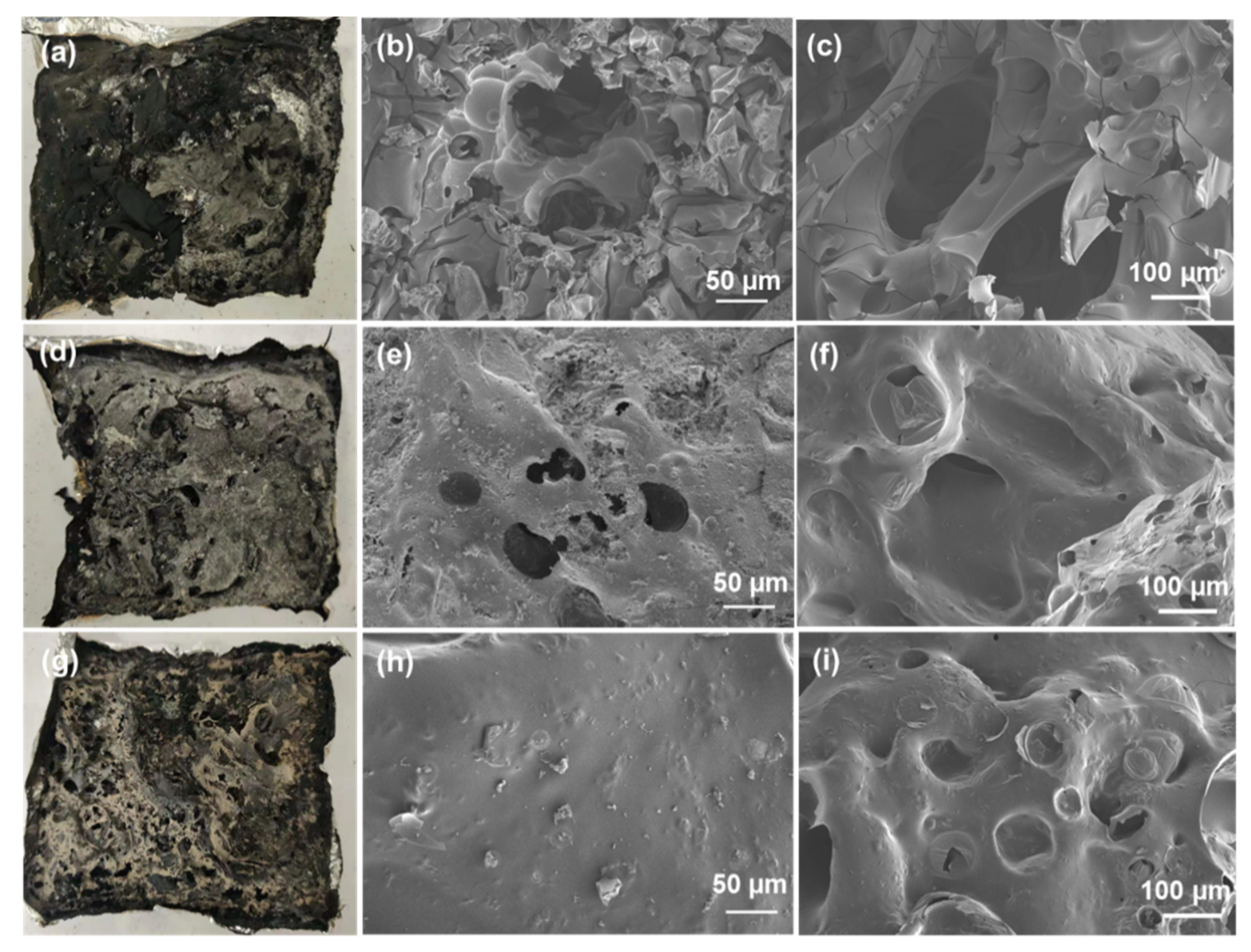 Molecules 26 06662 g006