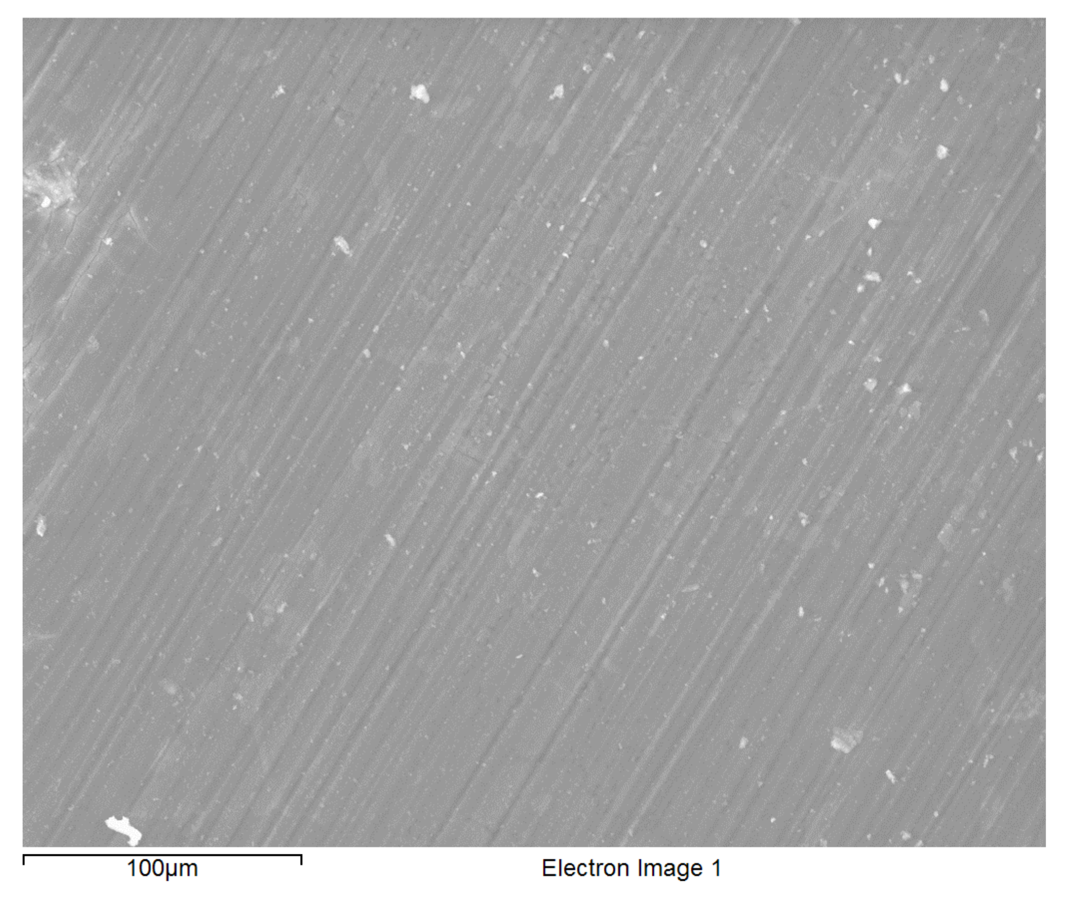 Molecules 26 06663 g001