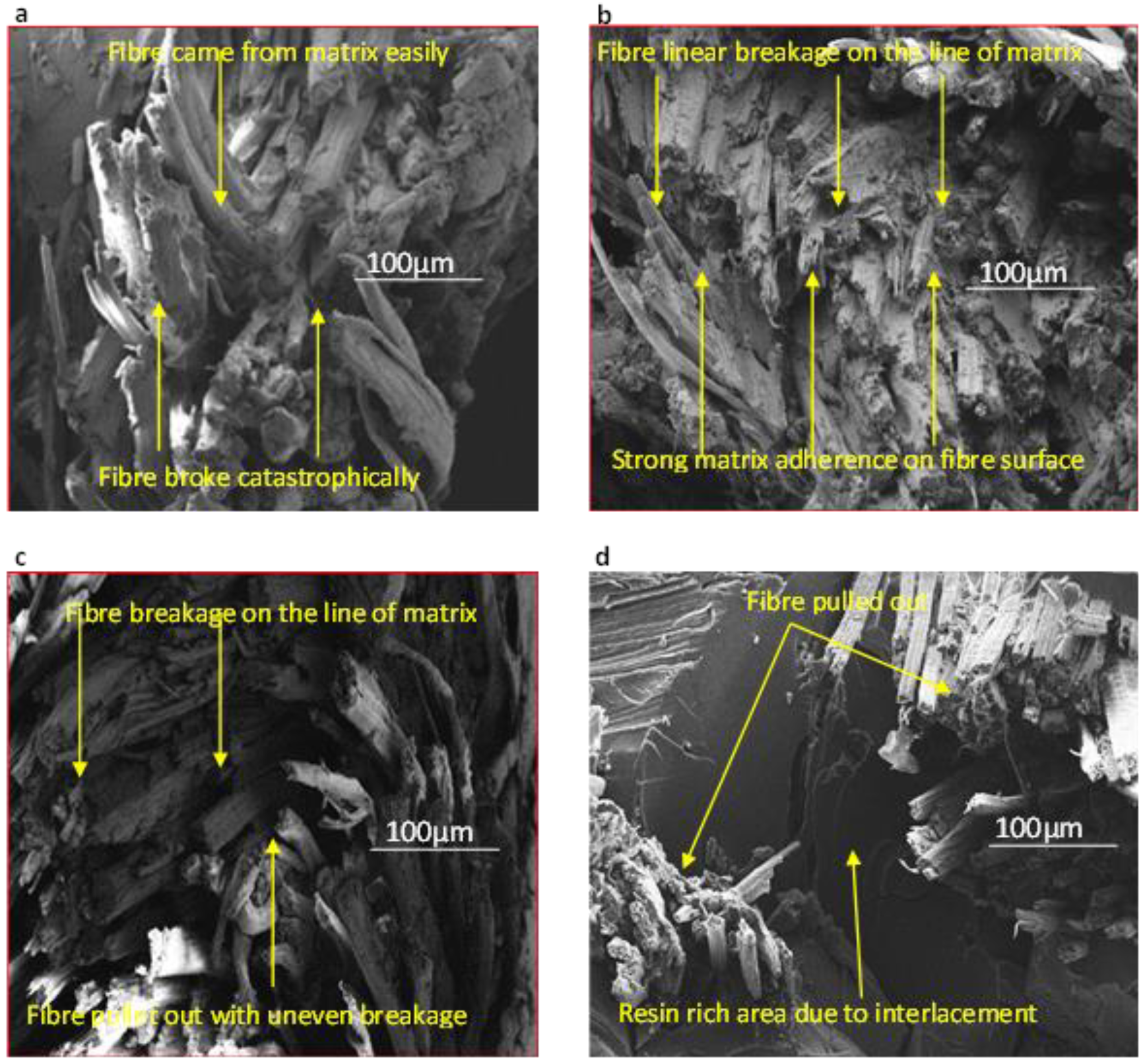 Molecules 26 06664 g007