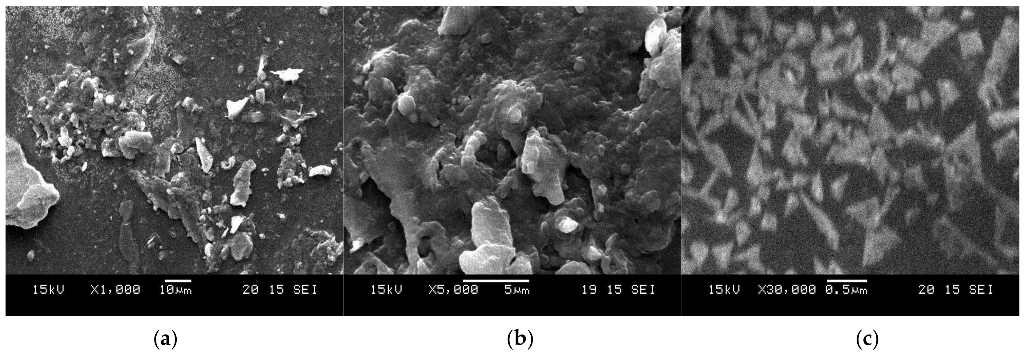 Molecules 26 06665 g005