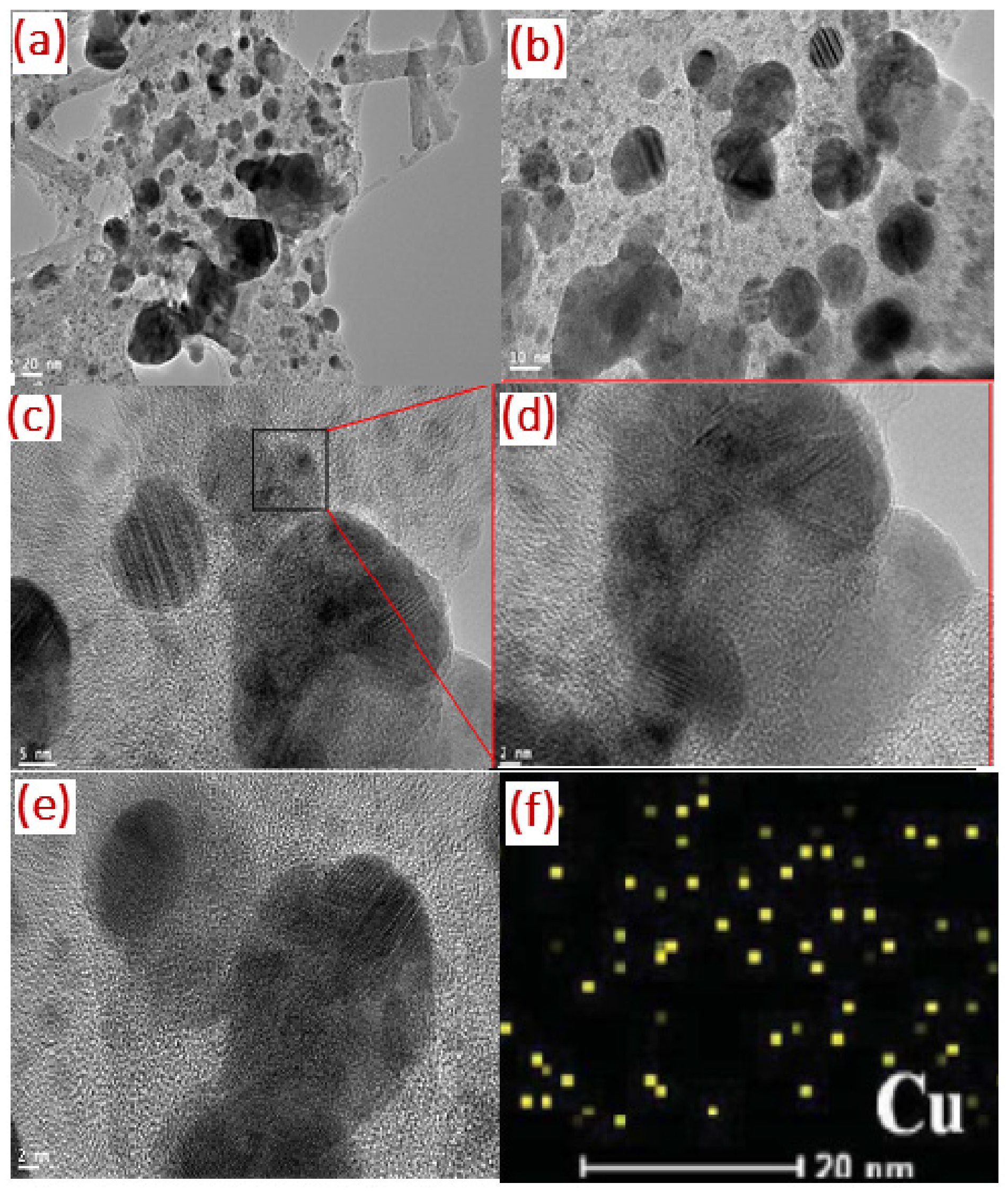 Molecules 26 06665 g007