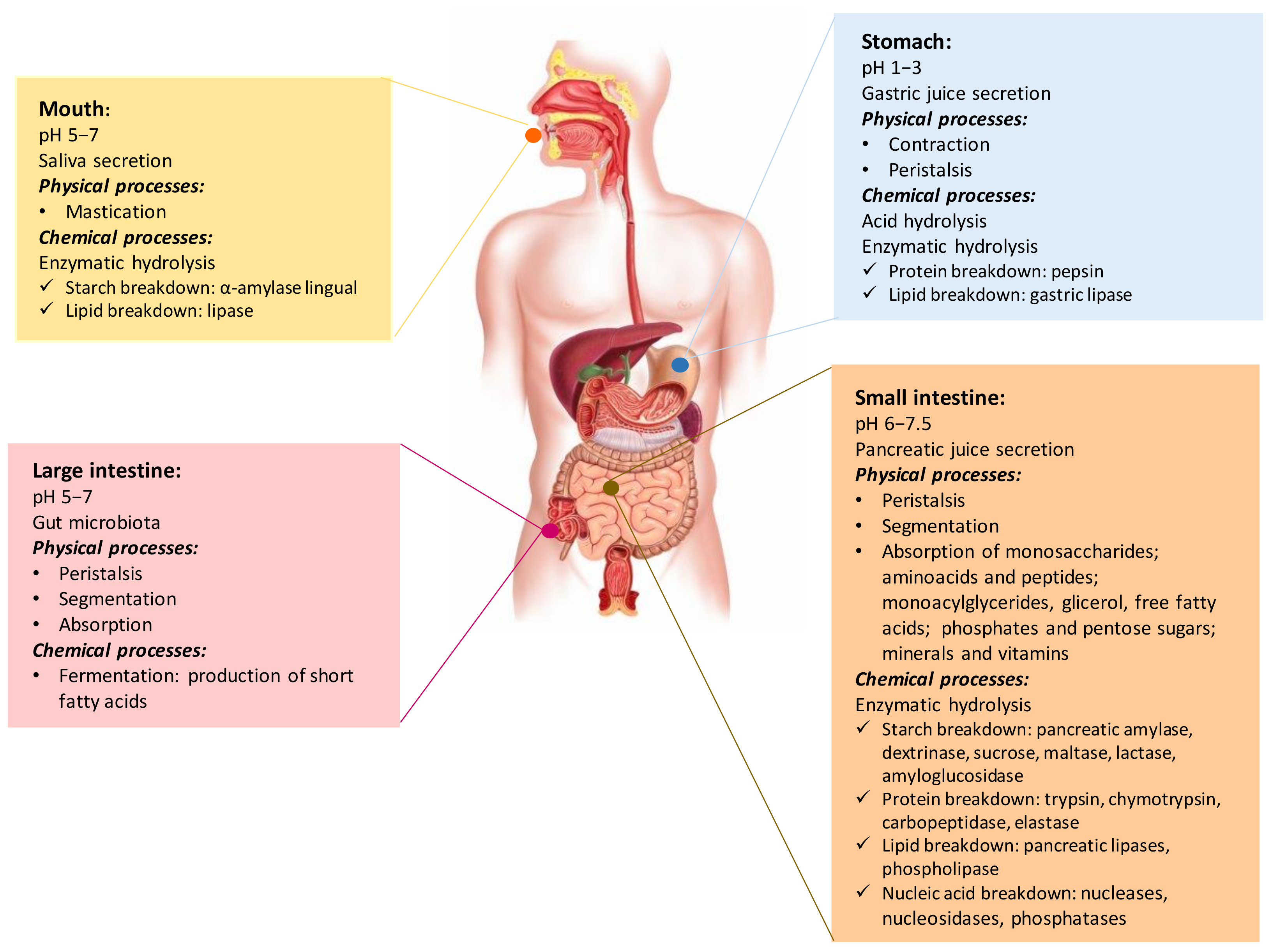 Molecules 26 06667 g001
