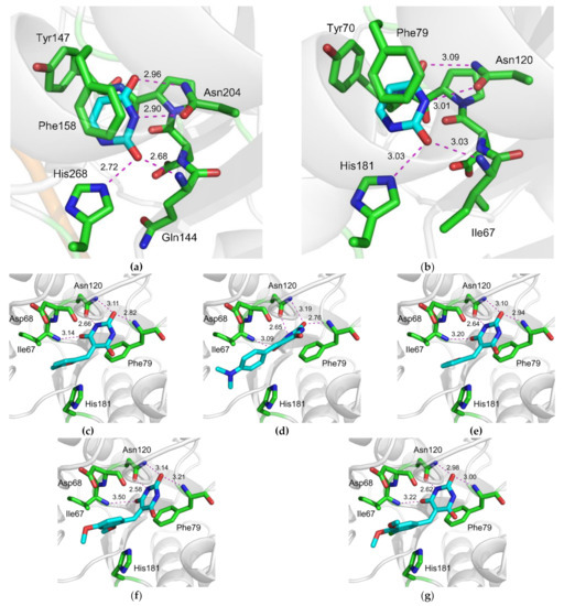 Molecules 26 06668 g006