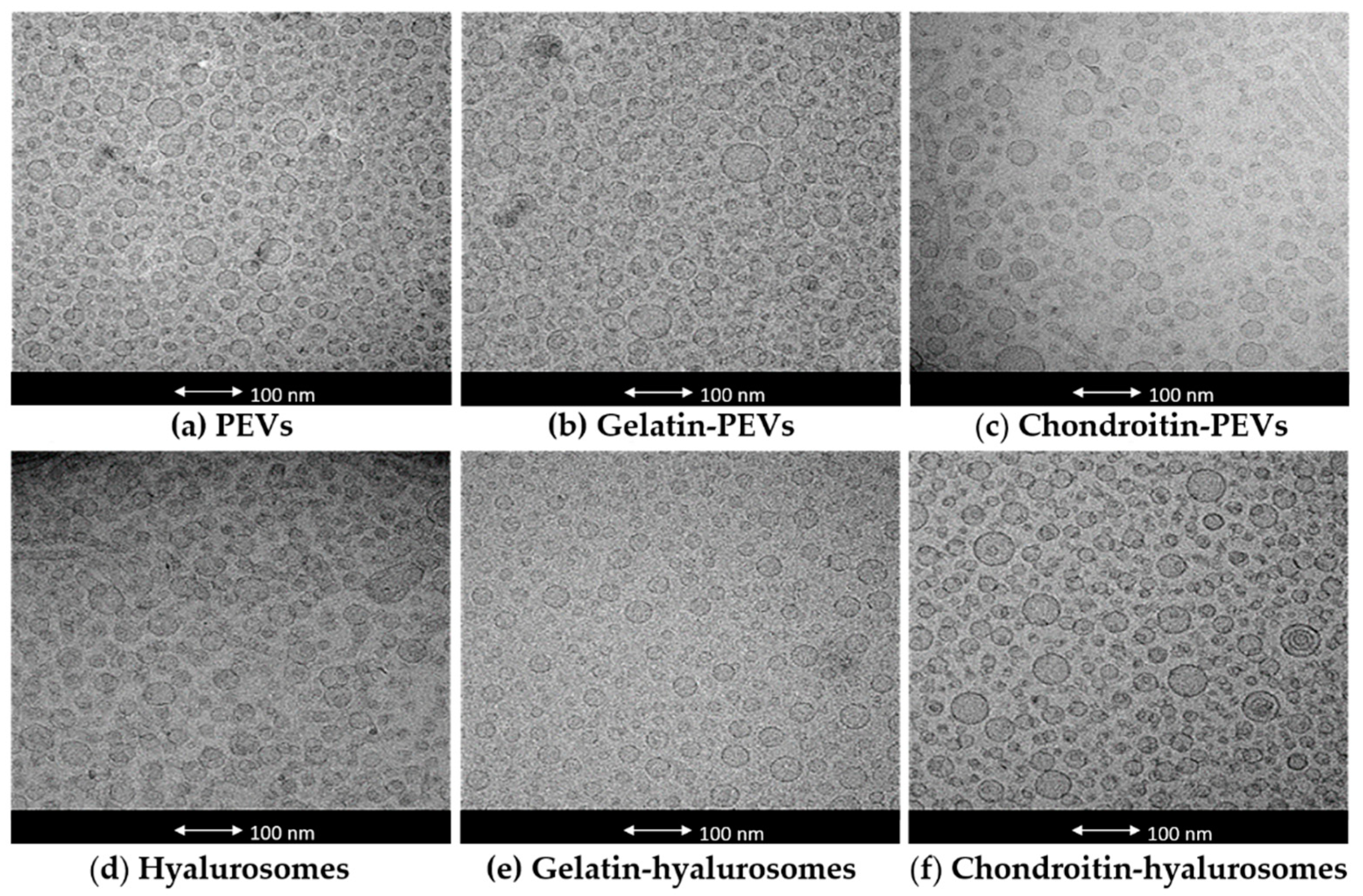 Molecules 26 06670 g001