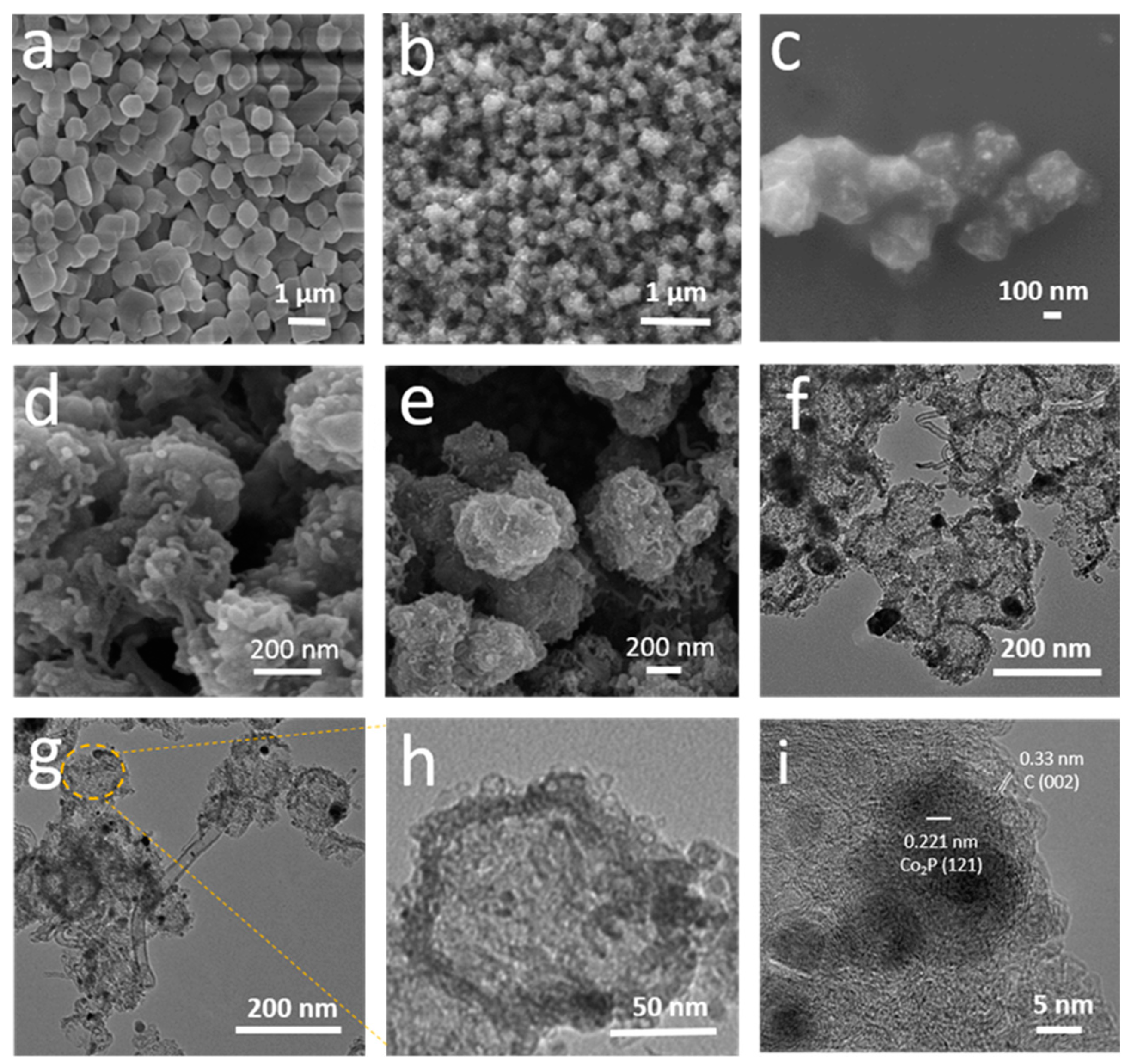 Molecules 26 06672 g001