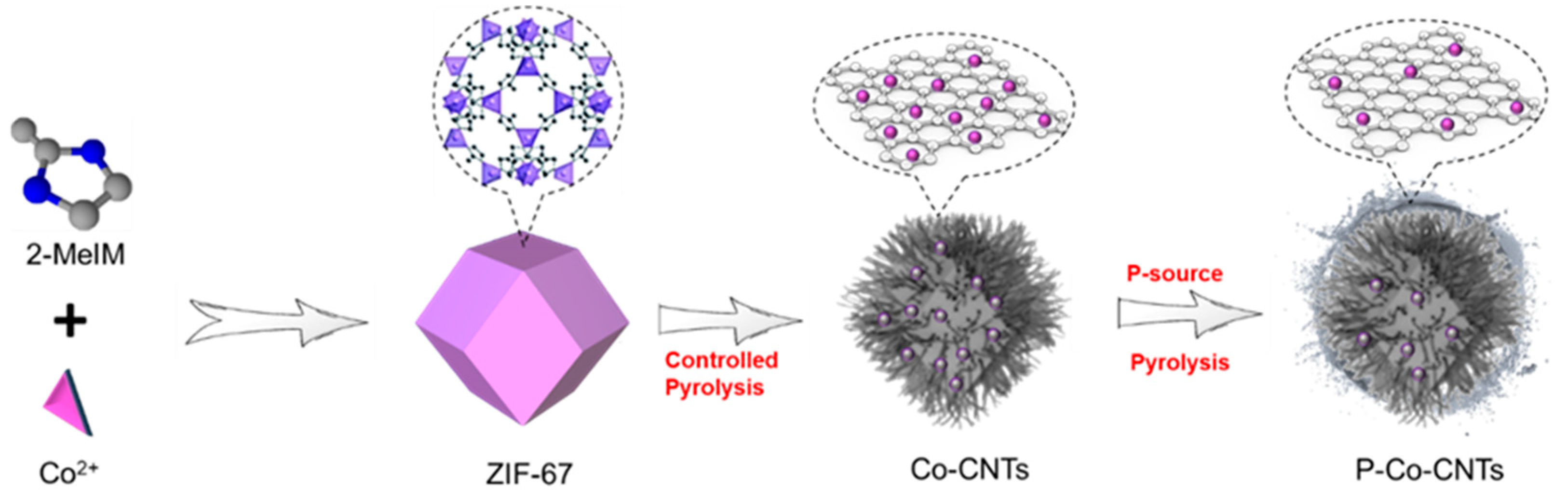 Molecules 26 06672 sch001