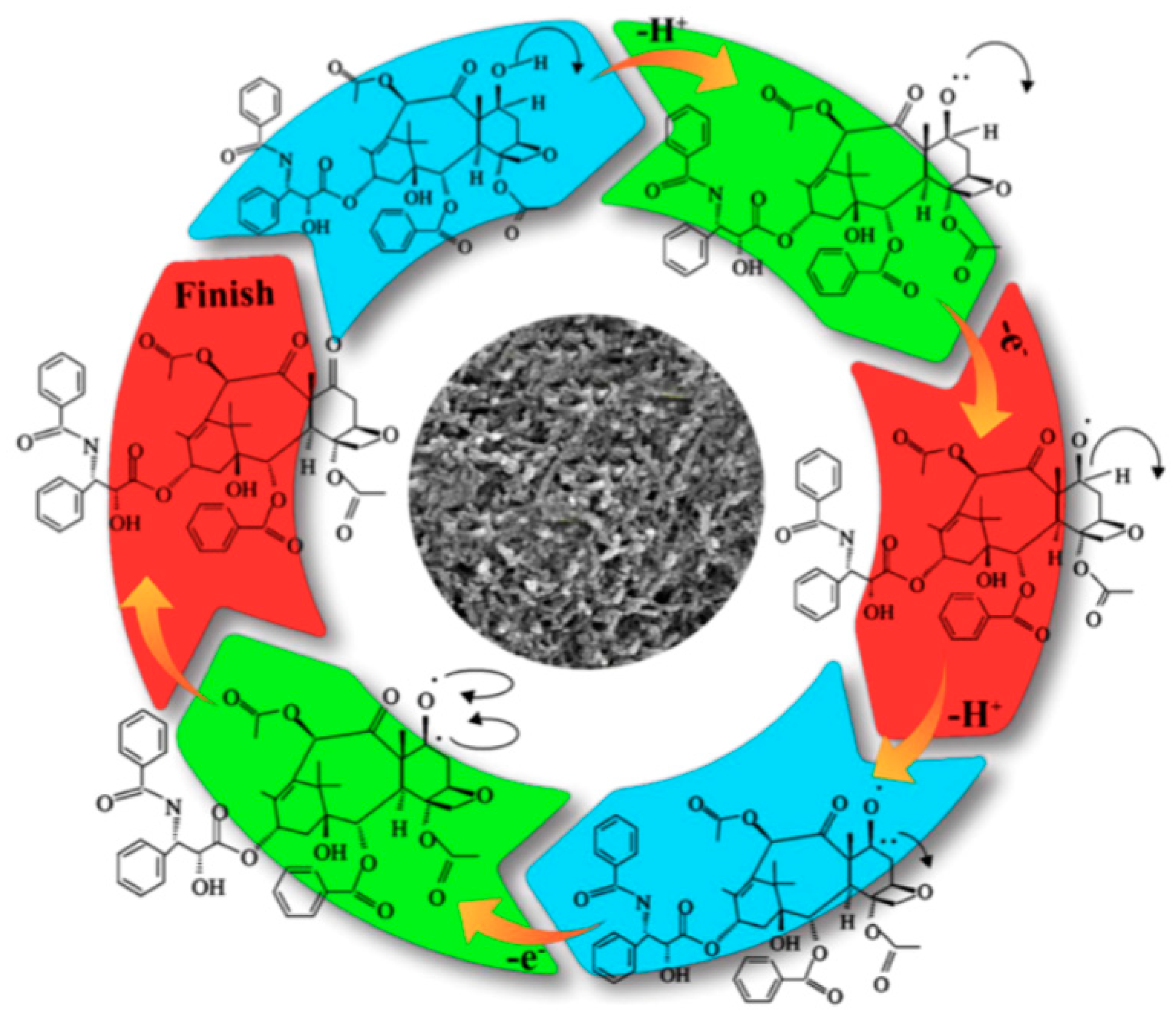 Molecules 26 06674 sch003