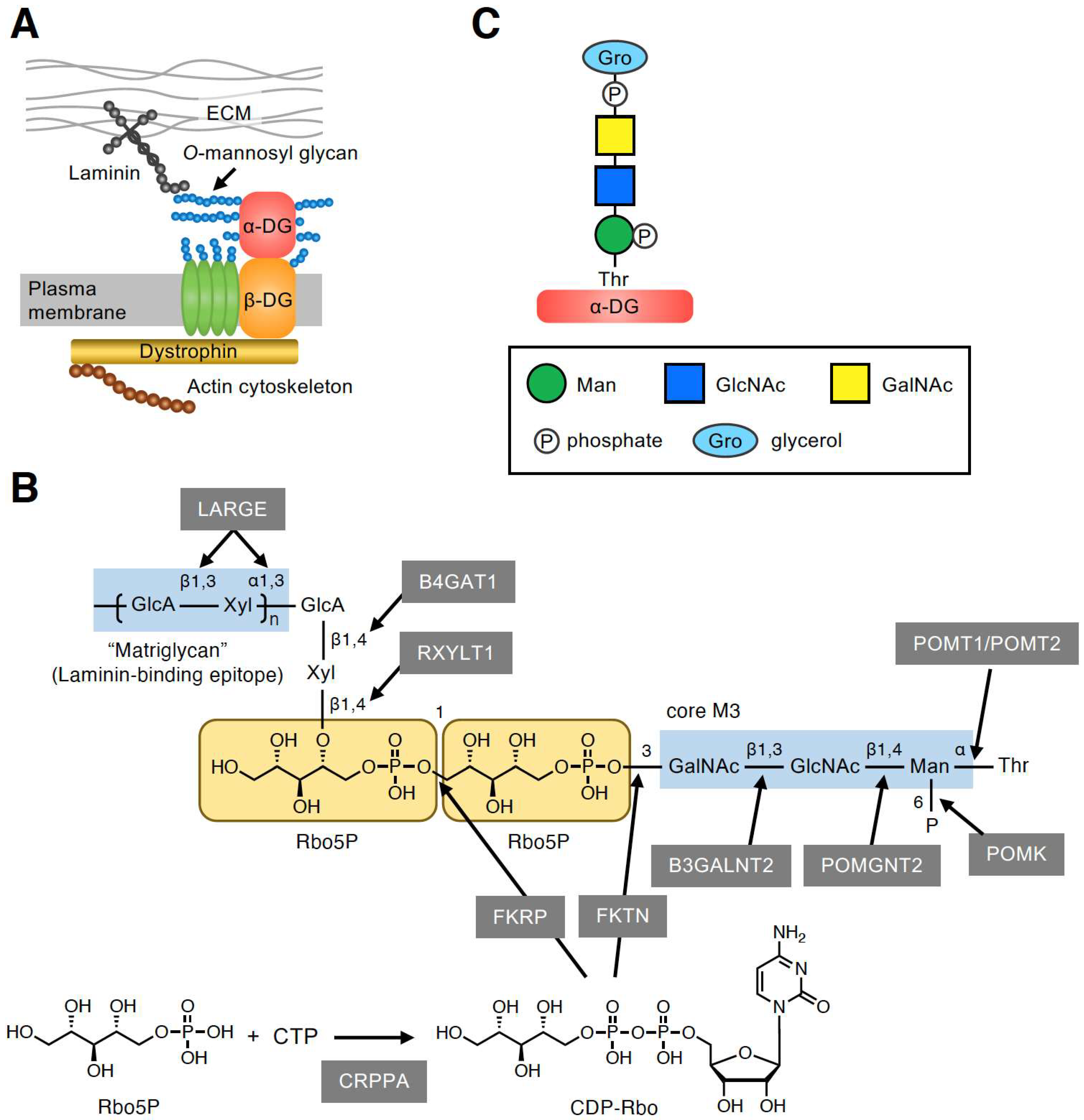 Molecules 26 06675 g001