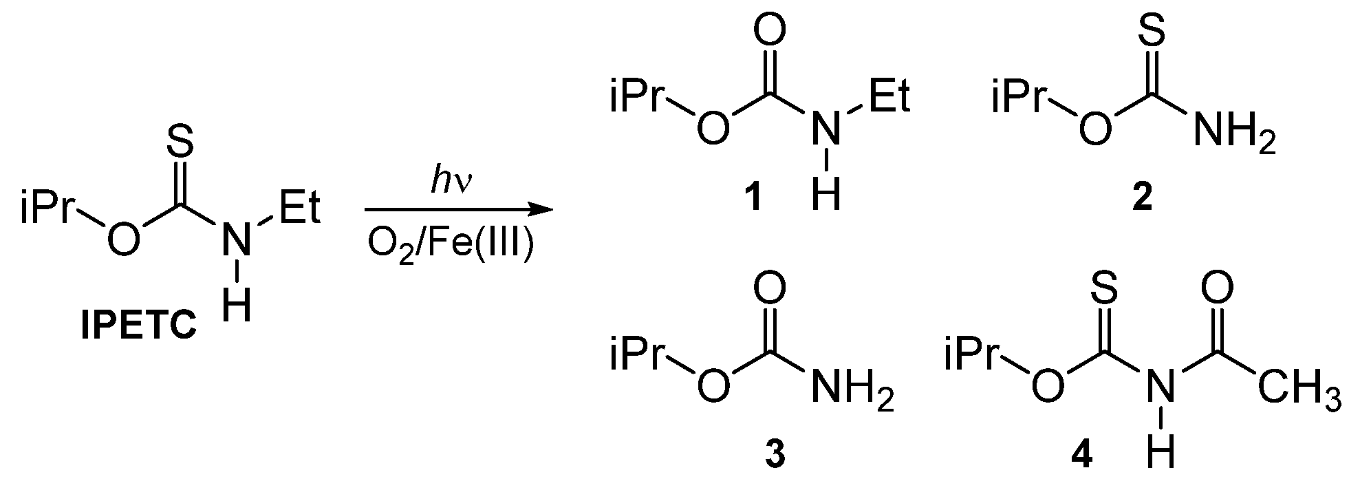 Molecules 26 06676 sch002