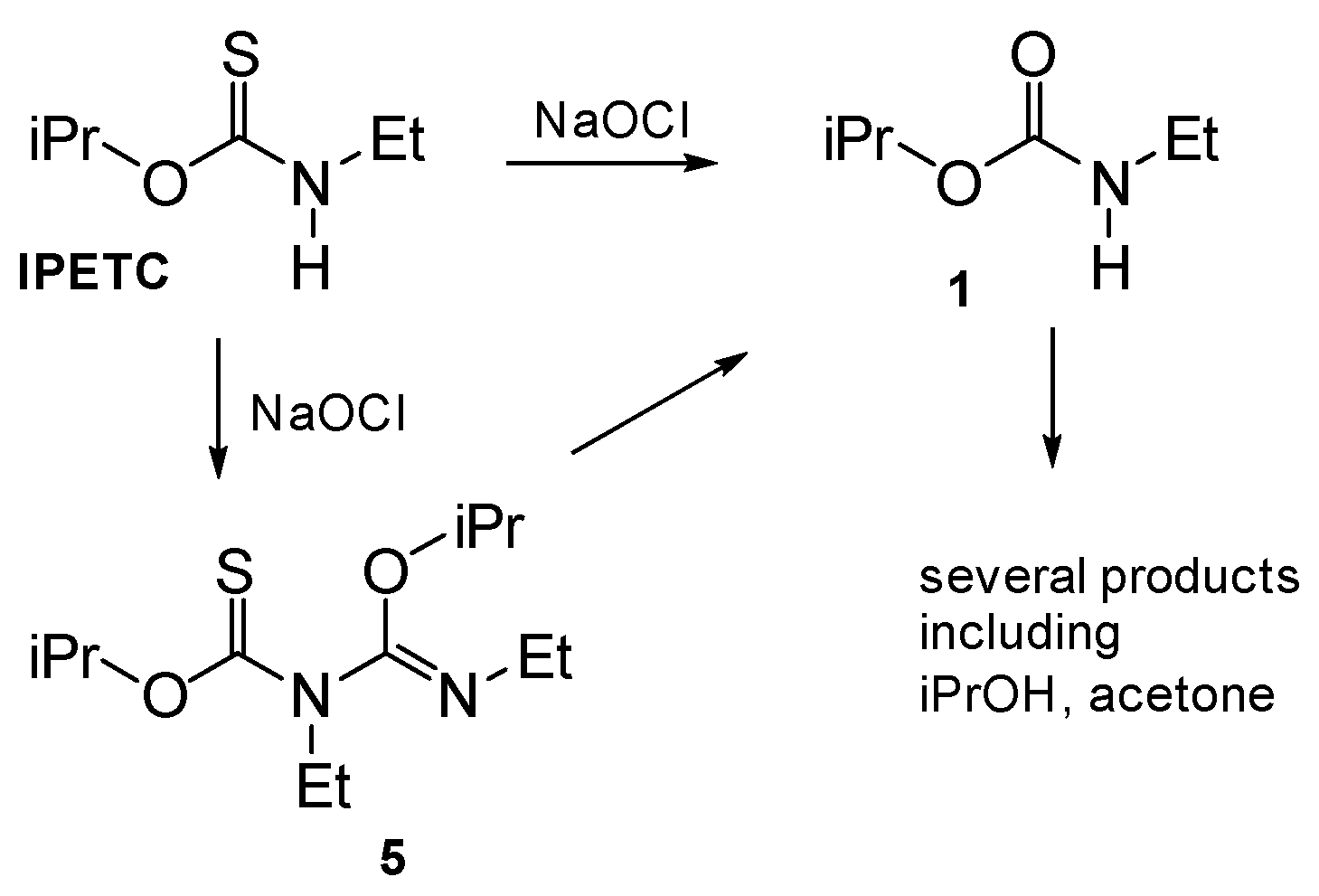 Molecules 26 06676 sch004