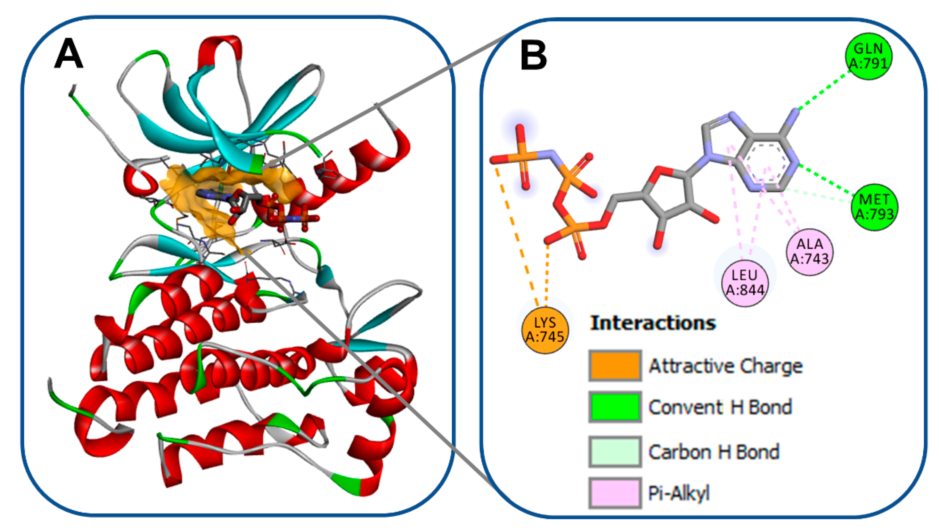 Molecules 26 06677 g002
